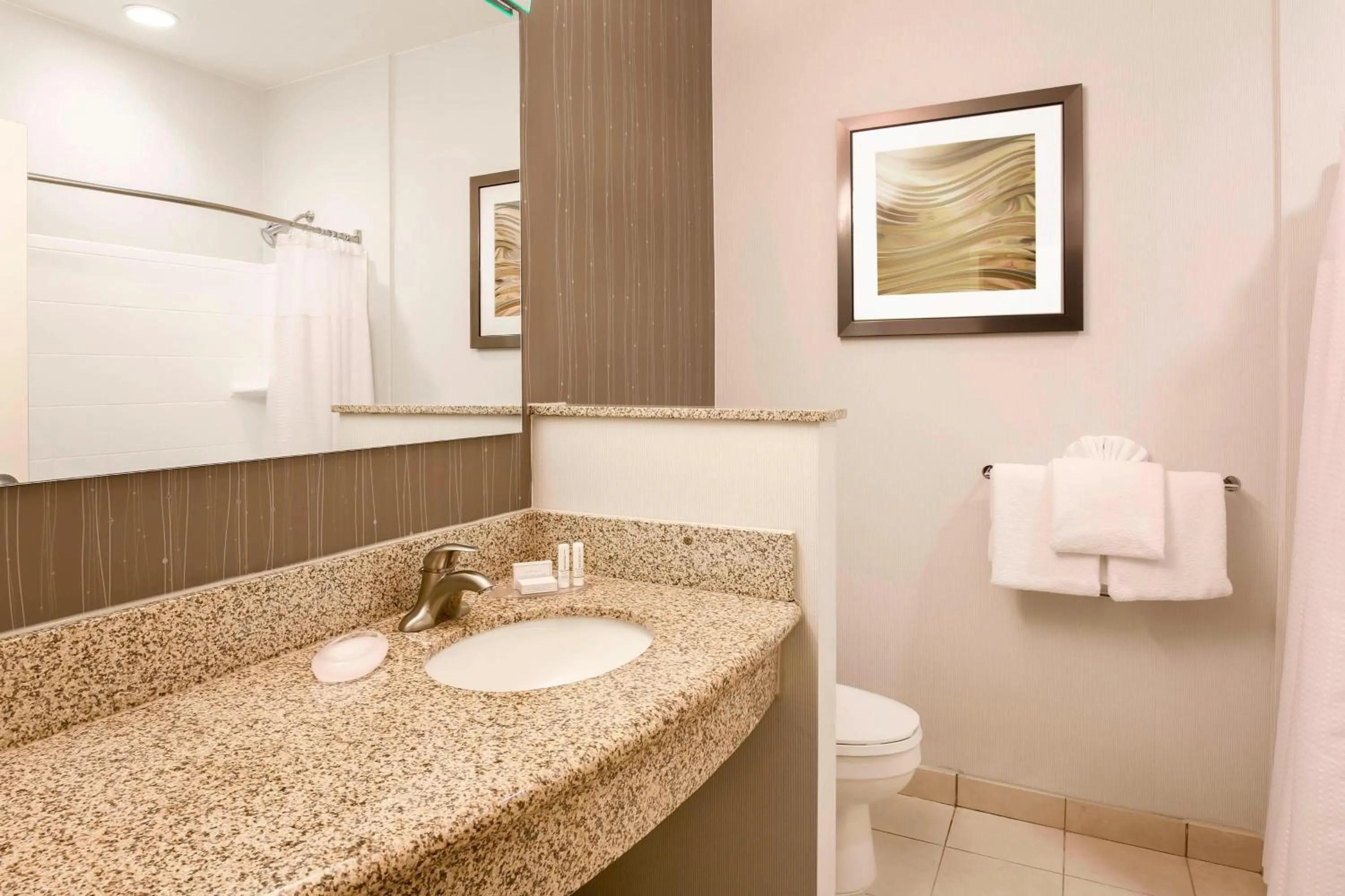 Bathroom in Courtyard by Marriott Dallas Arlington South
