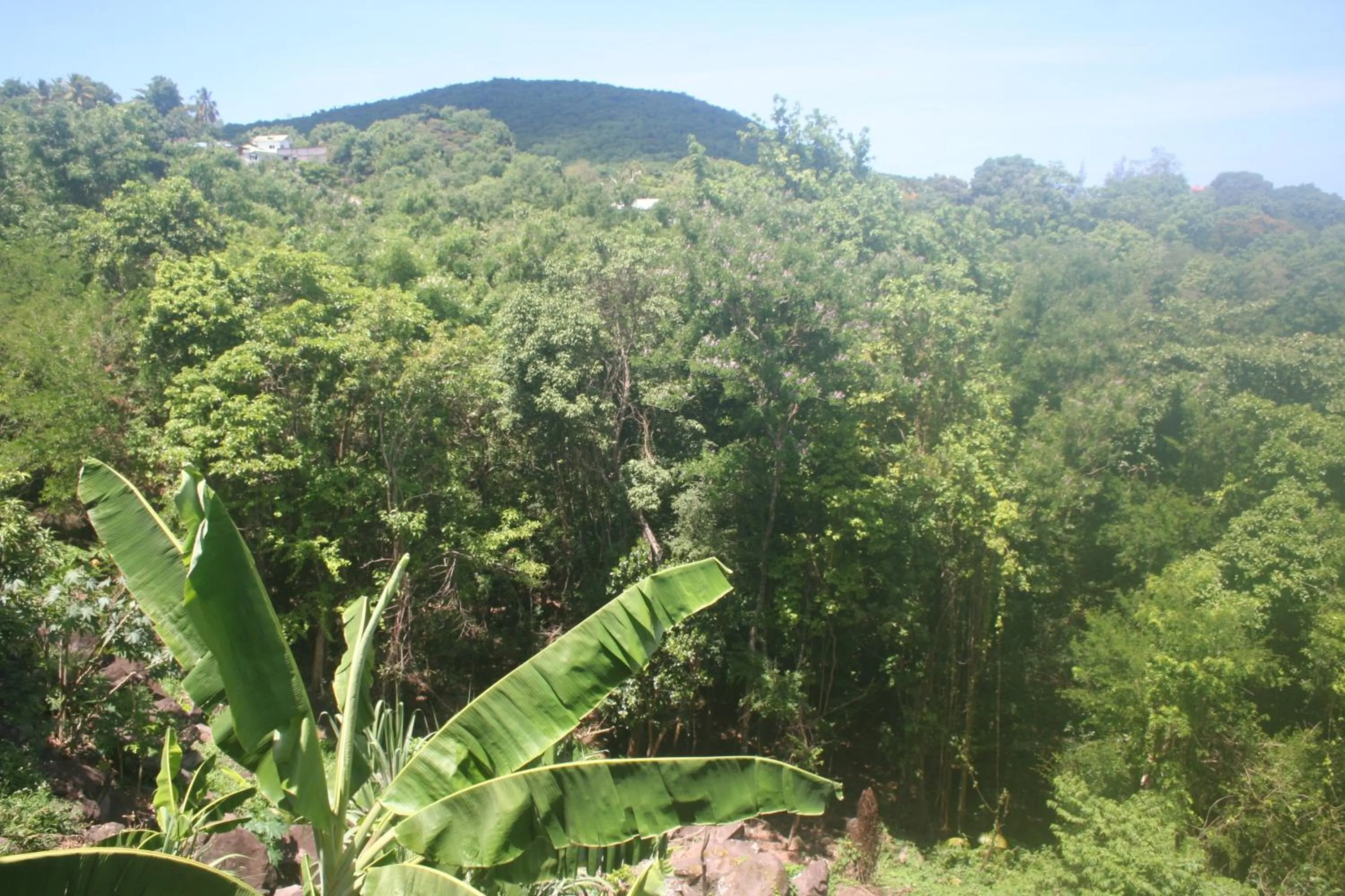 Mountain view in Gîtes BB