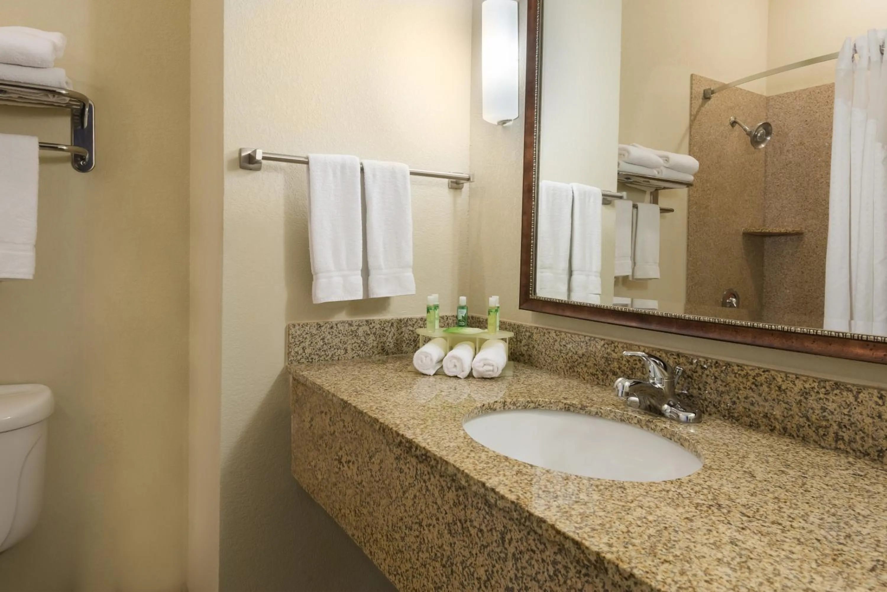 Bathroom in Holiday Inn Express Hotel & Suites New Iberia - Avery Island by IHG