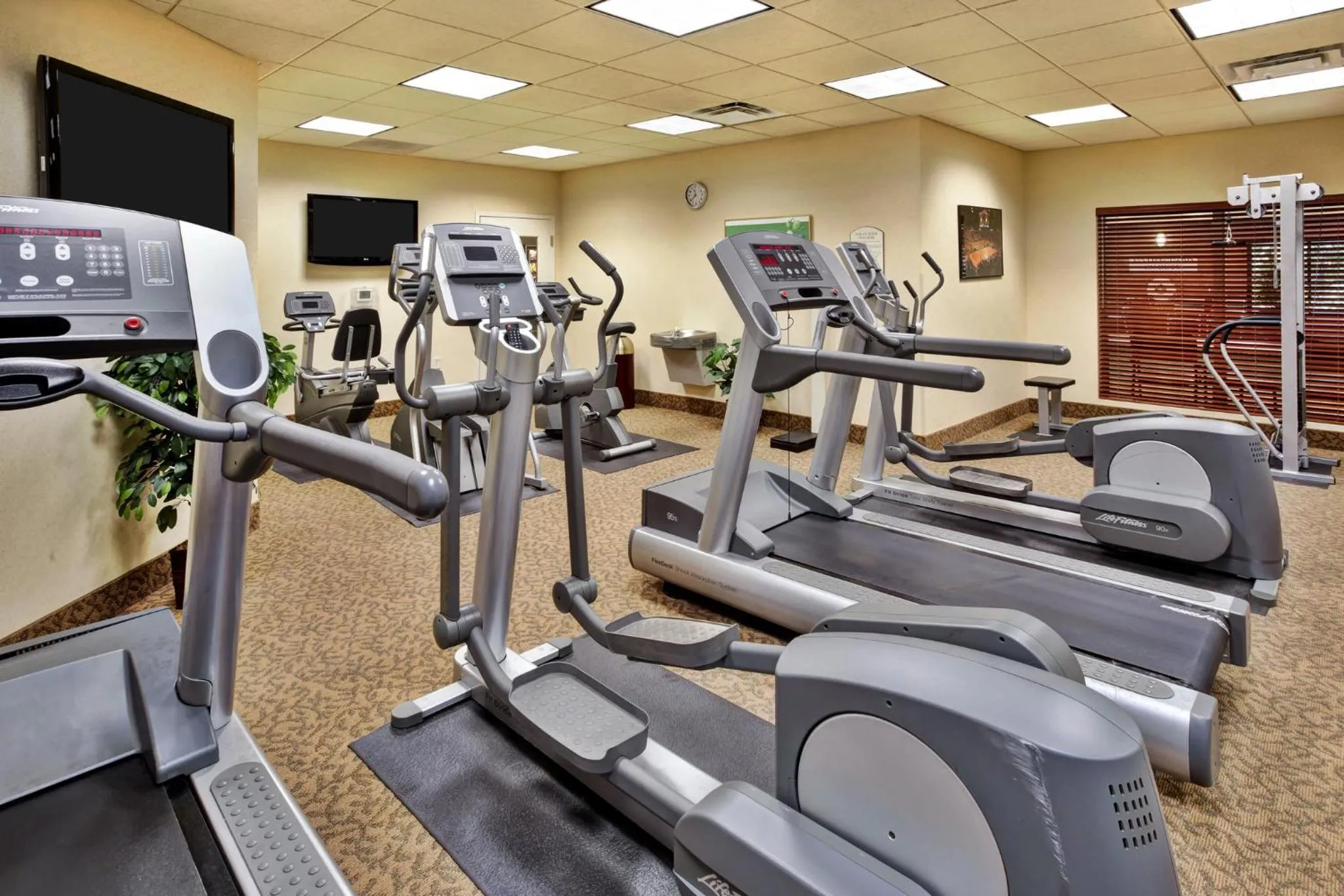 Spa and wellness centre/facilities in Holiday Inn Hotel & Suites Ann Arbor University of Michigan Area by IHG