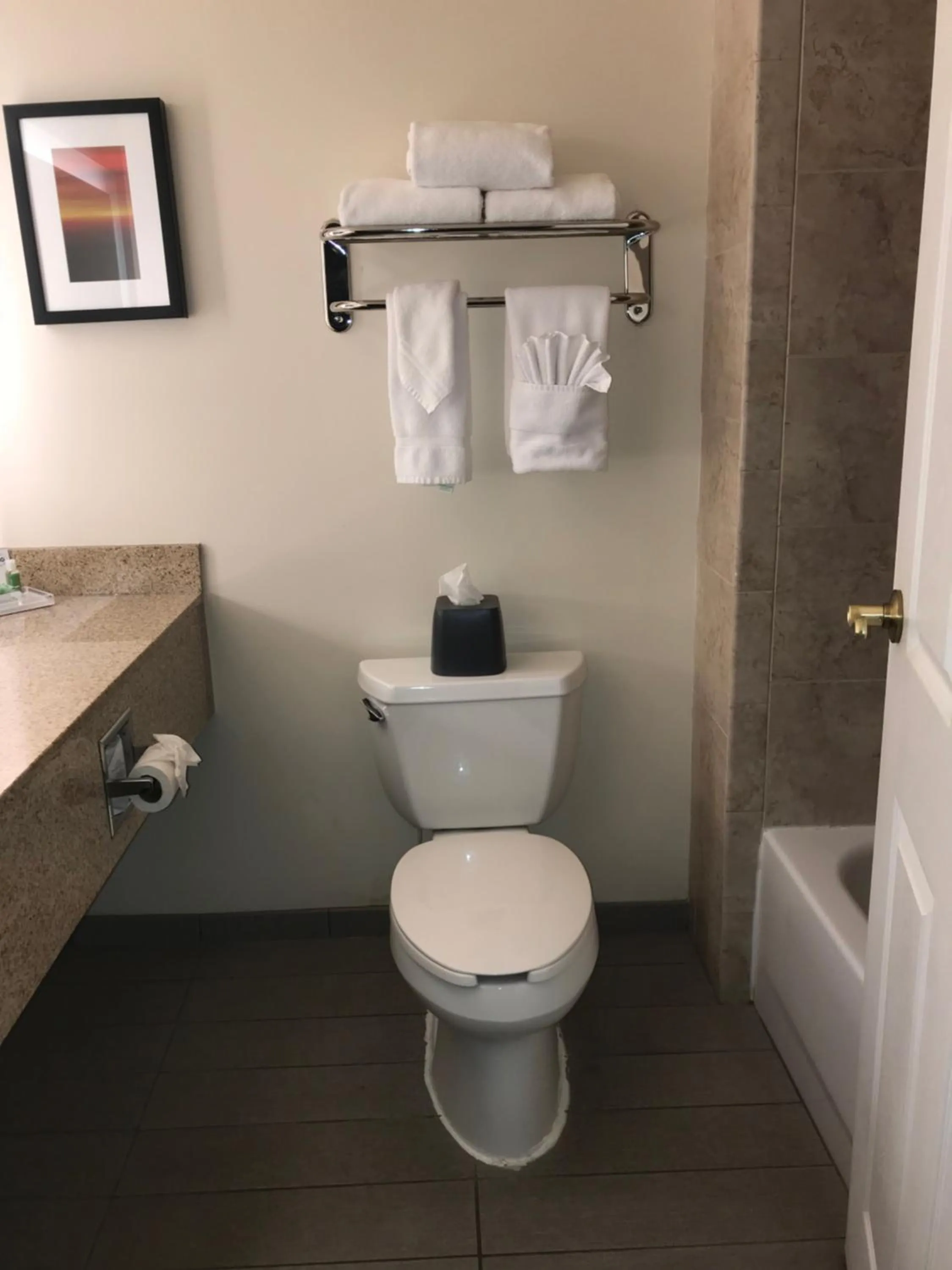 Toilet in Holiday Inn Hotel & Suites Ann Arbor University of Michigan Area by IHG