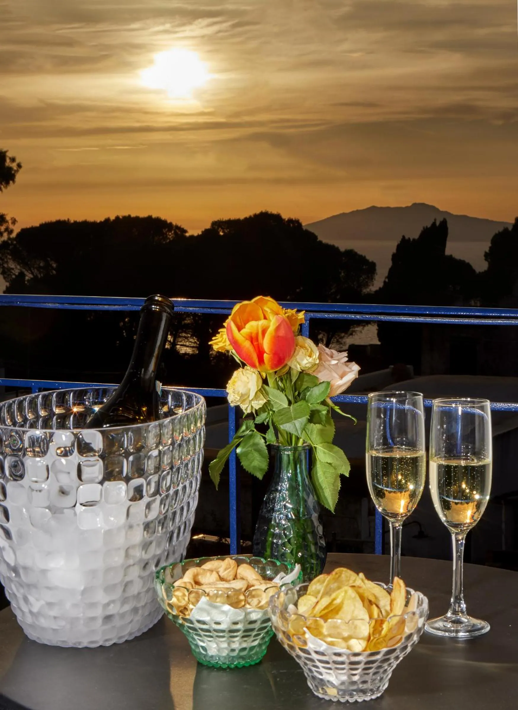 Natural landscape in Hotel Victoria Place