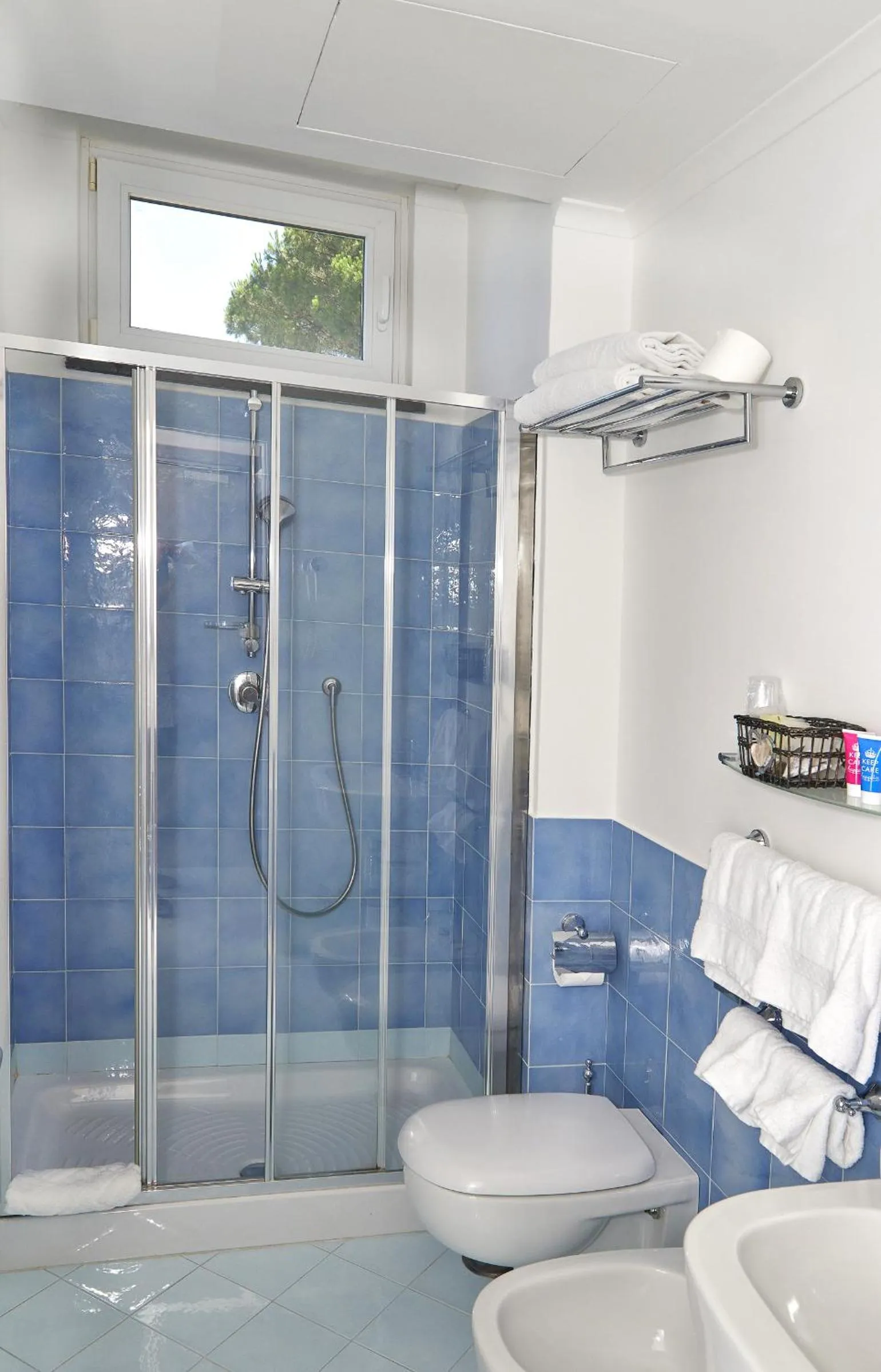 Shower in Hotel Victoria Place