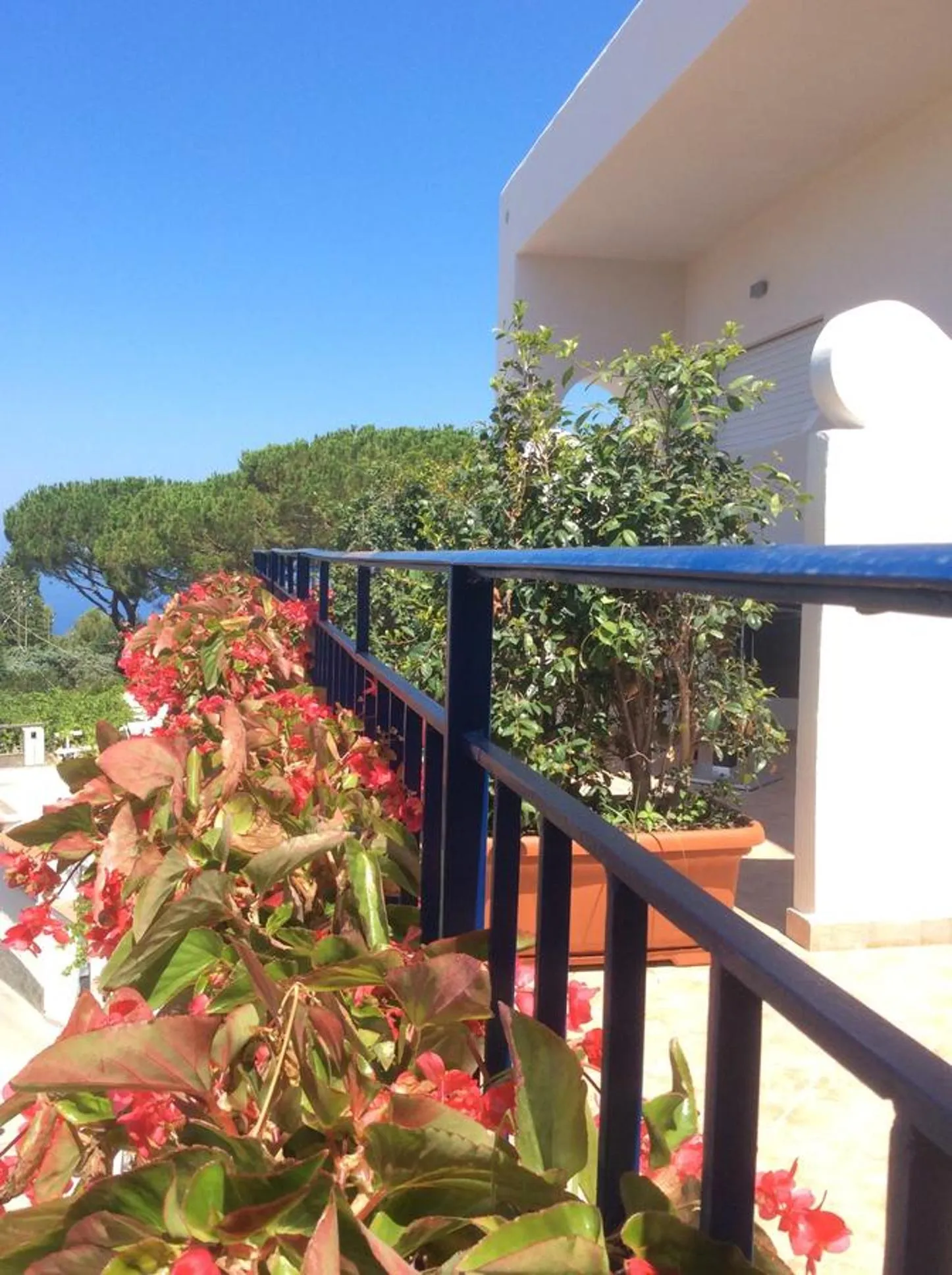 Day in Hotel Victoria Place