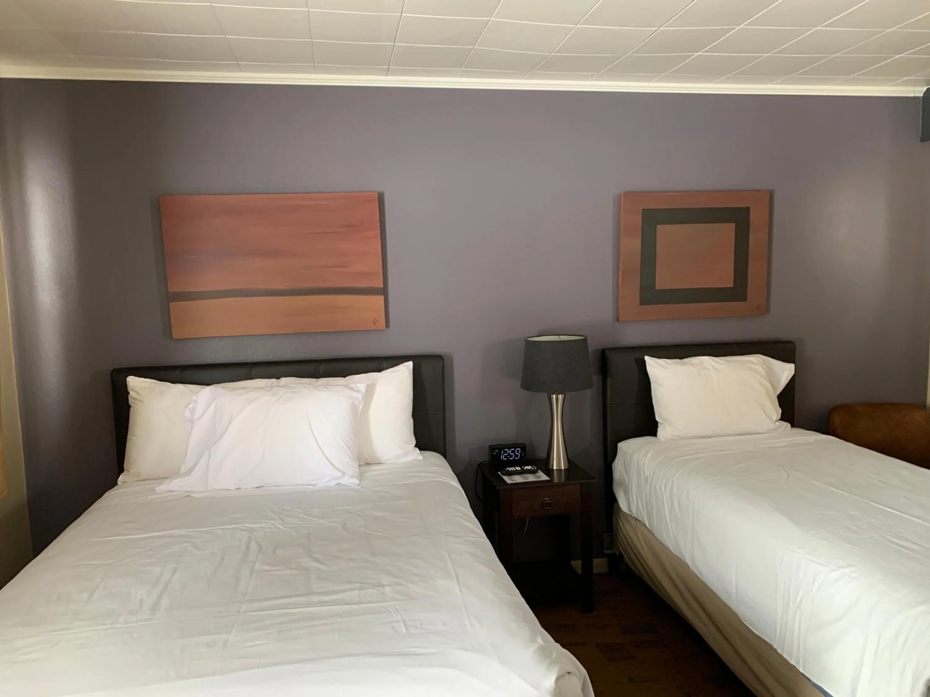 Bed in The Triangle Motel