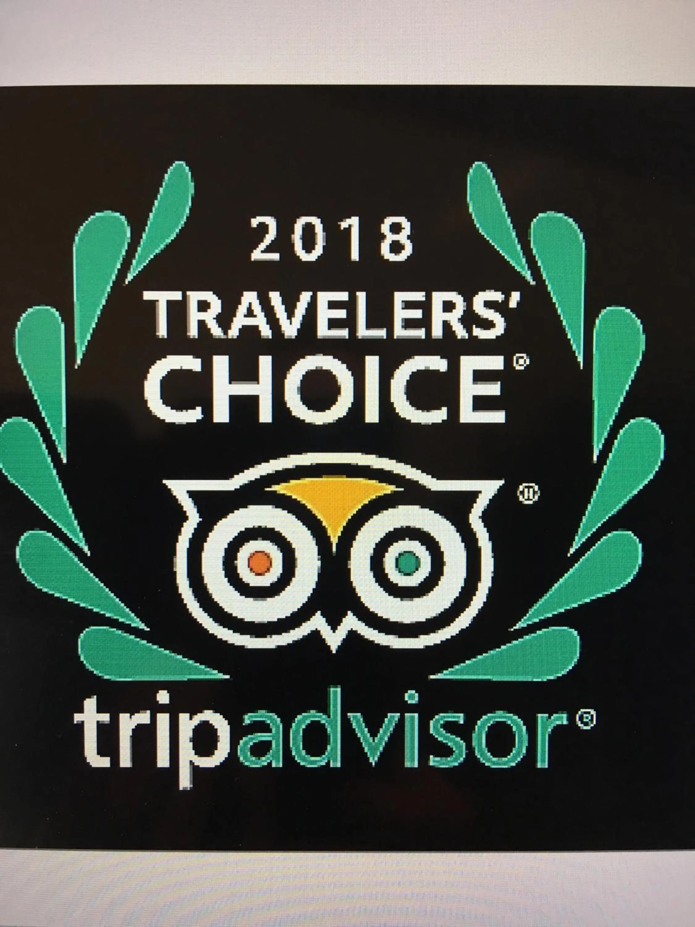 Certificate/Award in The Triangle Motel