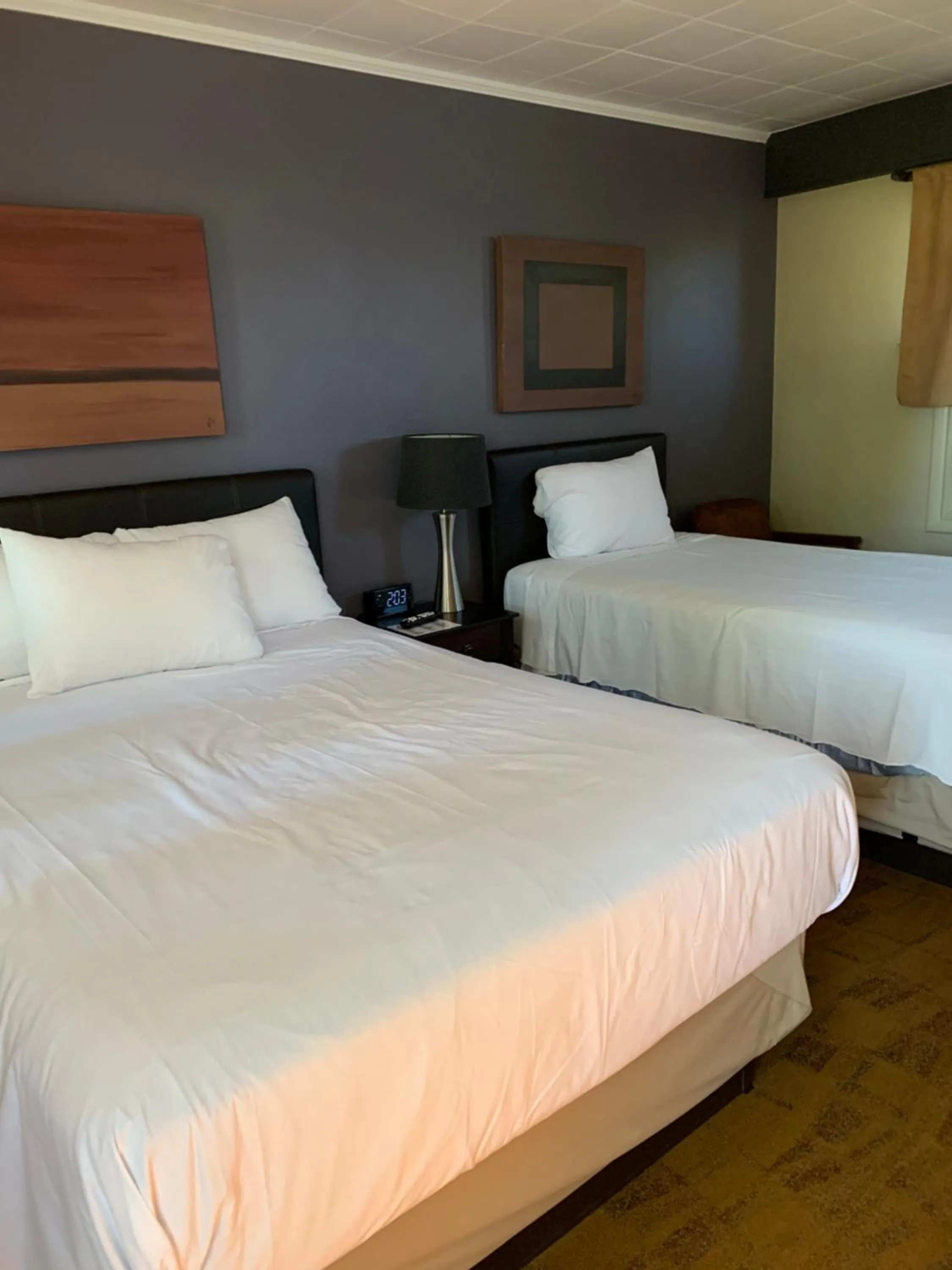 Bed in The Triangle Motel