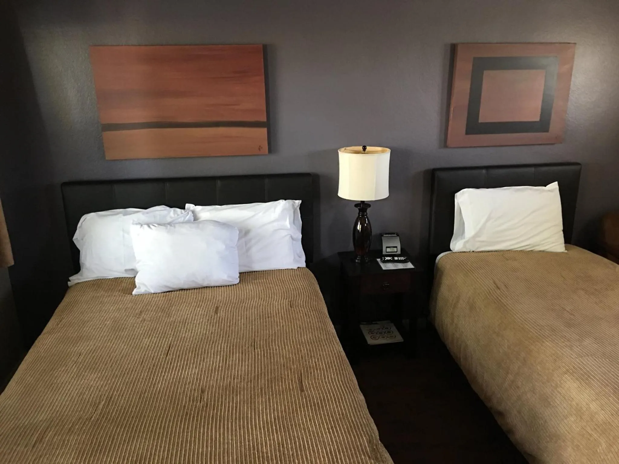 Photo of the whole room, Bed in The Triangle Motel
