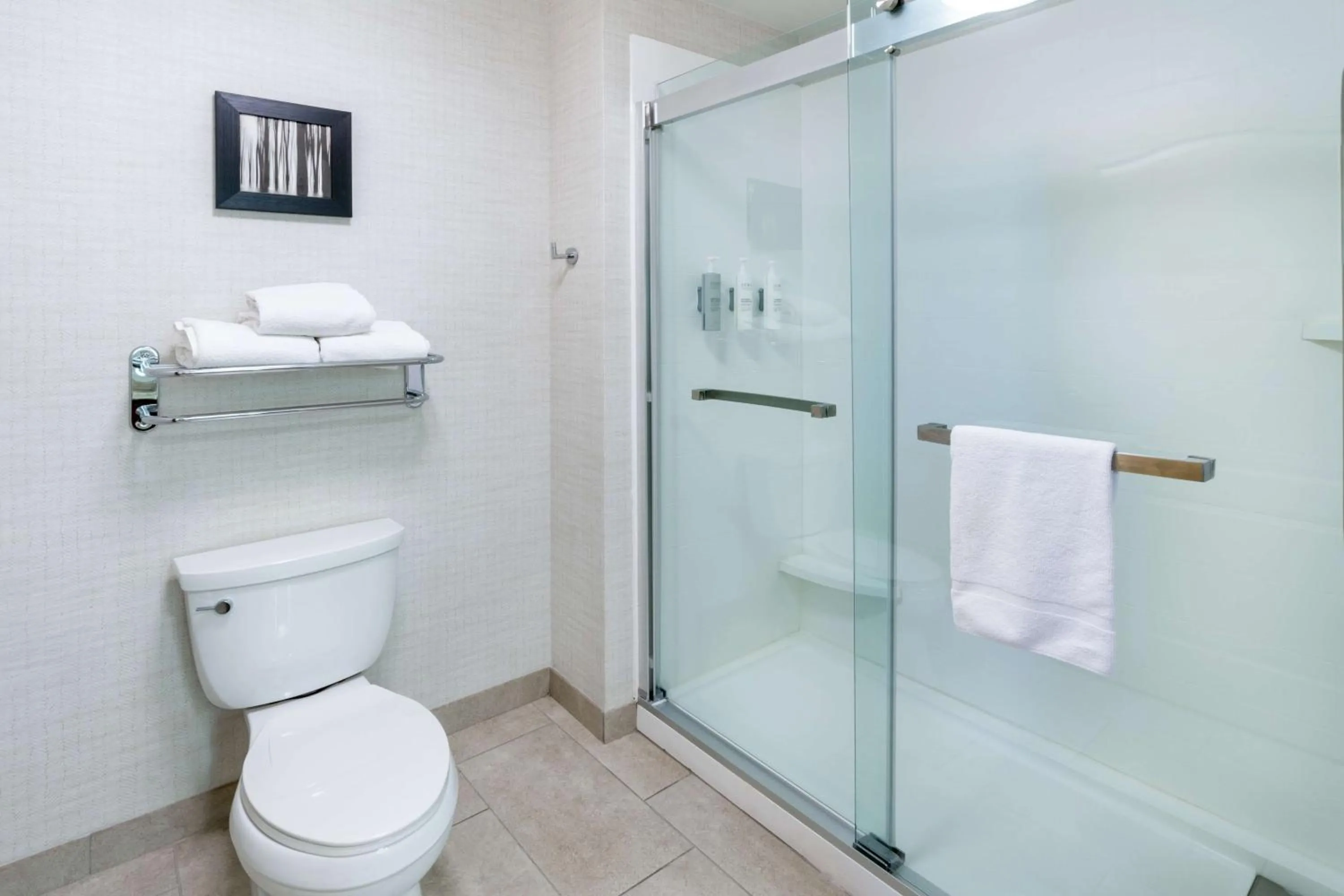 Bathroom in Homewood Suites by Hilton Denver - Littleton