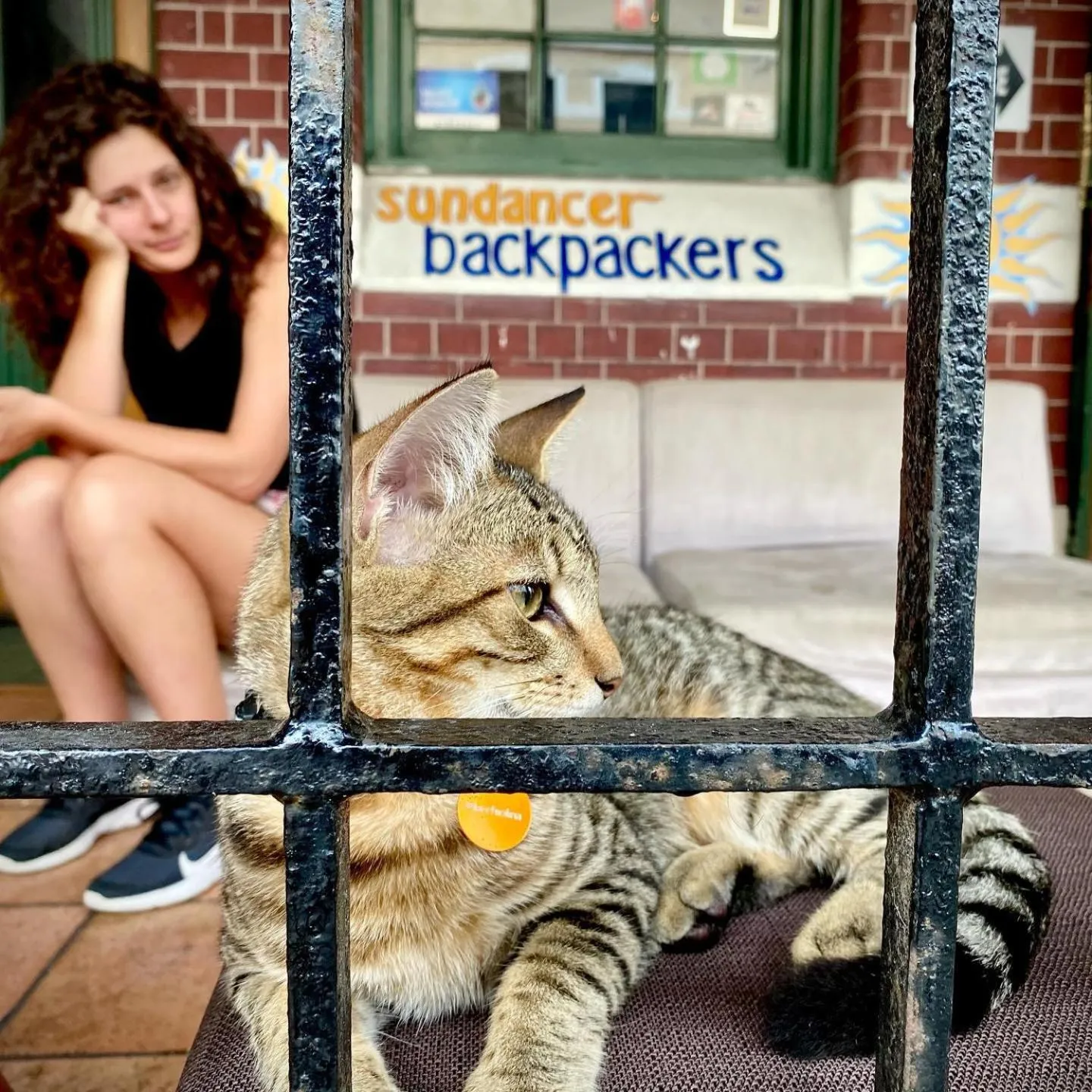 Pets in Sundancer Backpackers Hostel