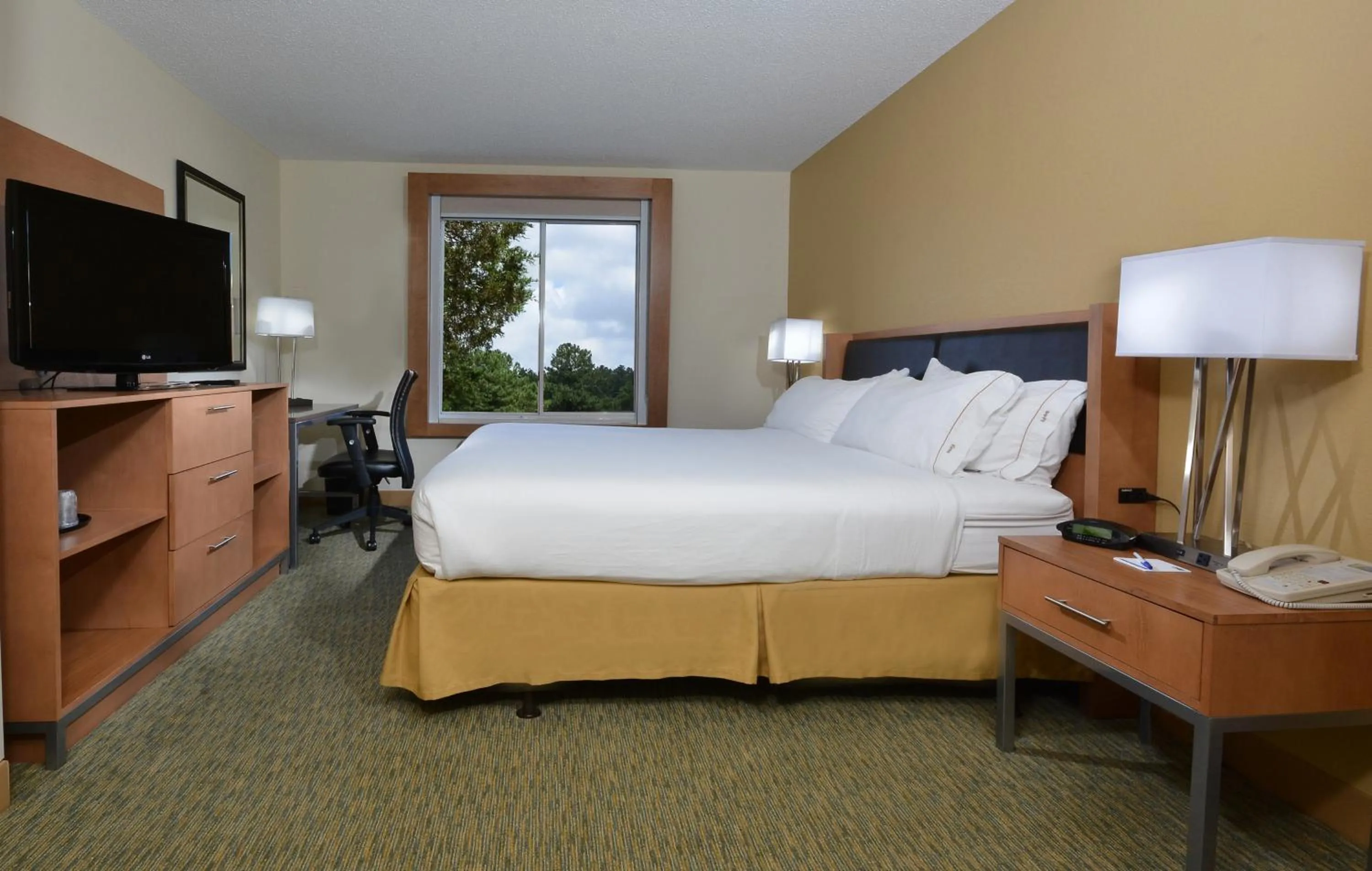 Photo of the whole room, Bed in Holiday Inn Express Hotel & Suites High Point South by IHG
