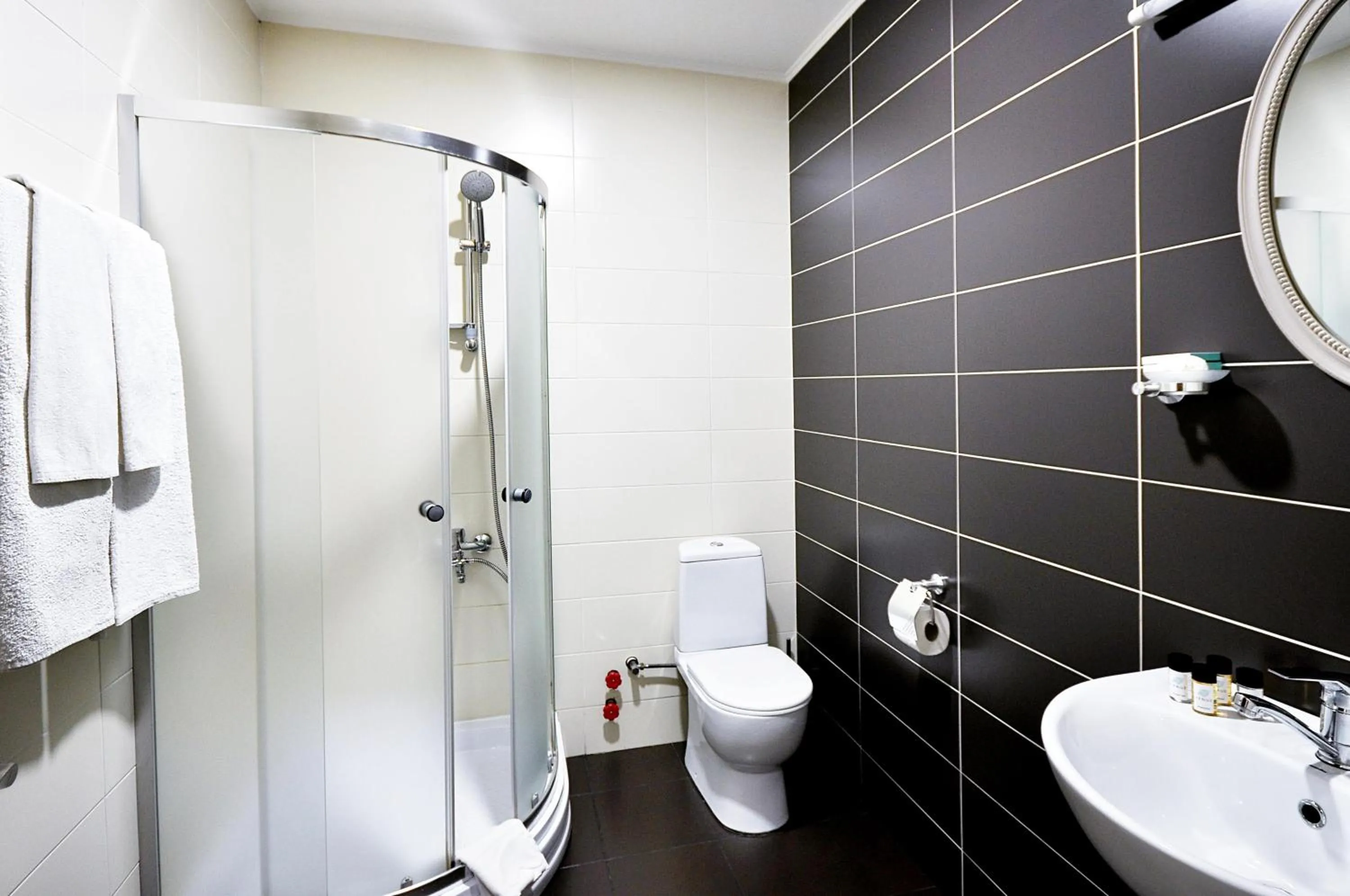 Shower in Hotel Frida