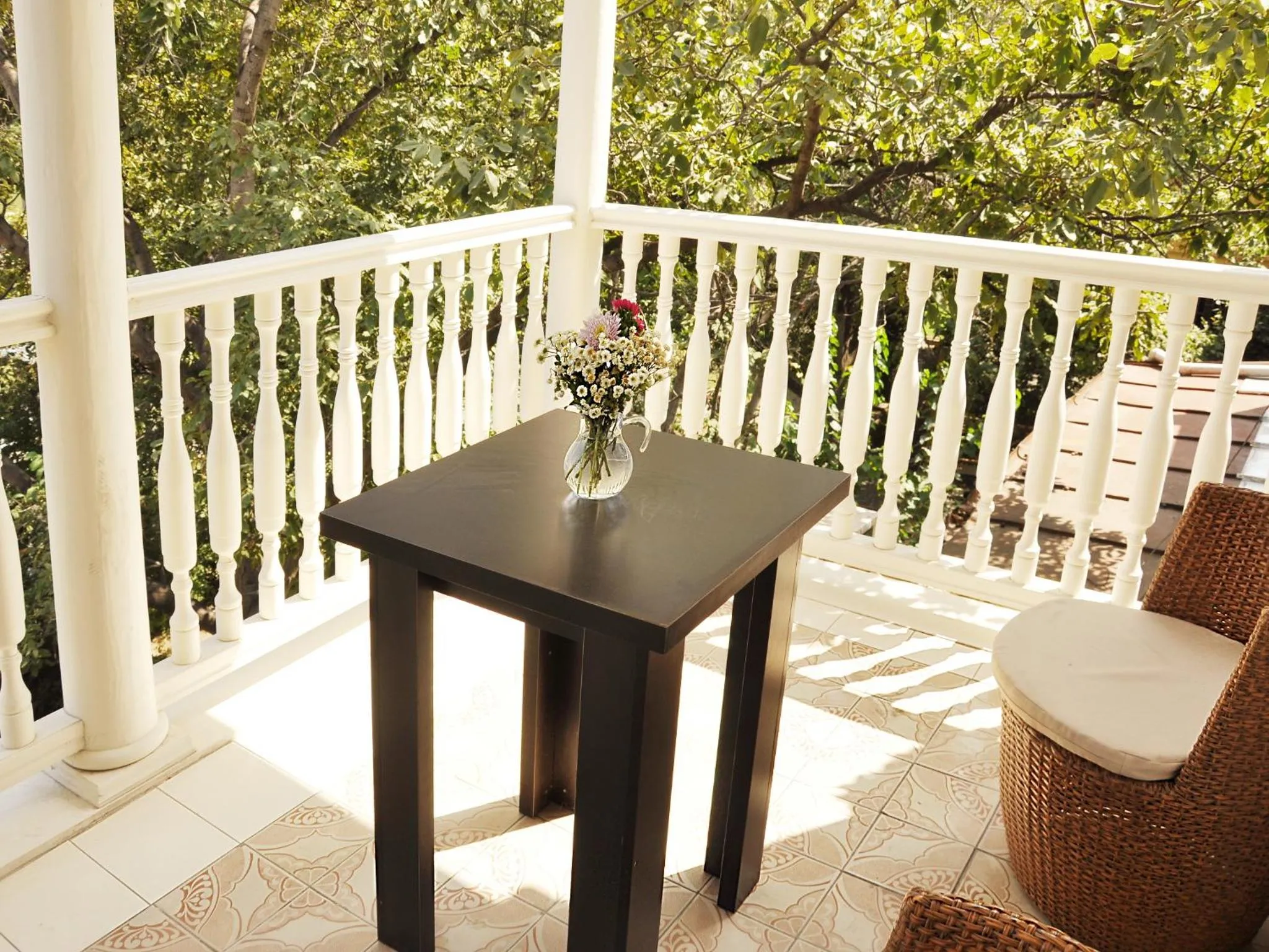 Balcony/Terrace in Hotel Frida
