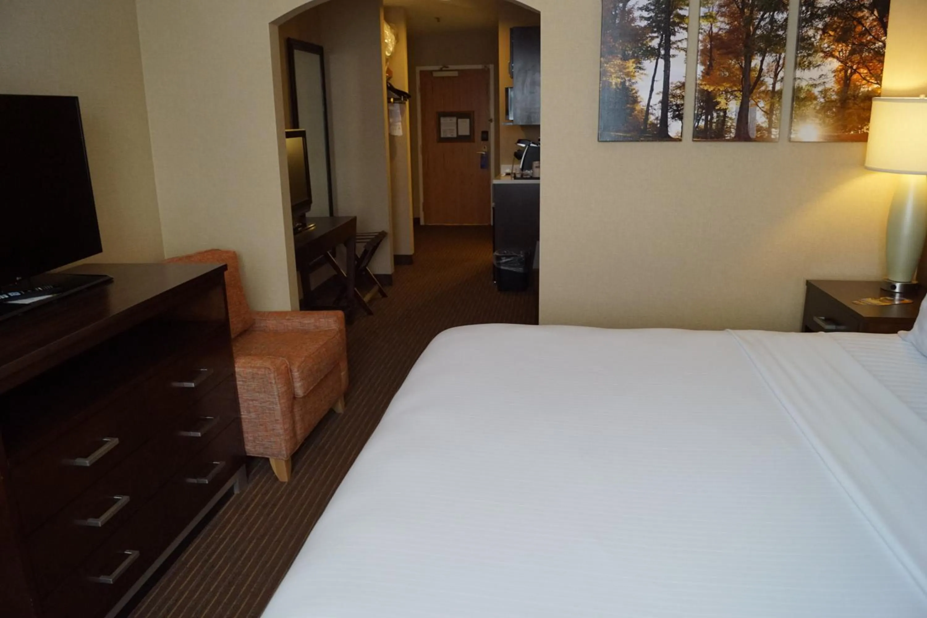 Photo of the whole room, Bed in Holiday Inn Express Hotel & Suites Watertown - Thousand Islands by IHG