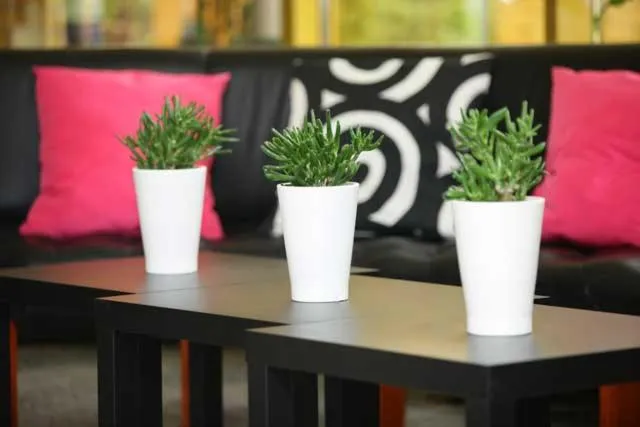 Lobby or reception in Hotel 500