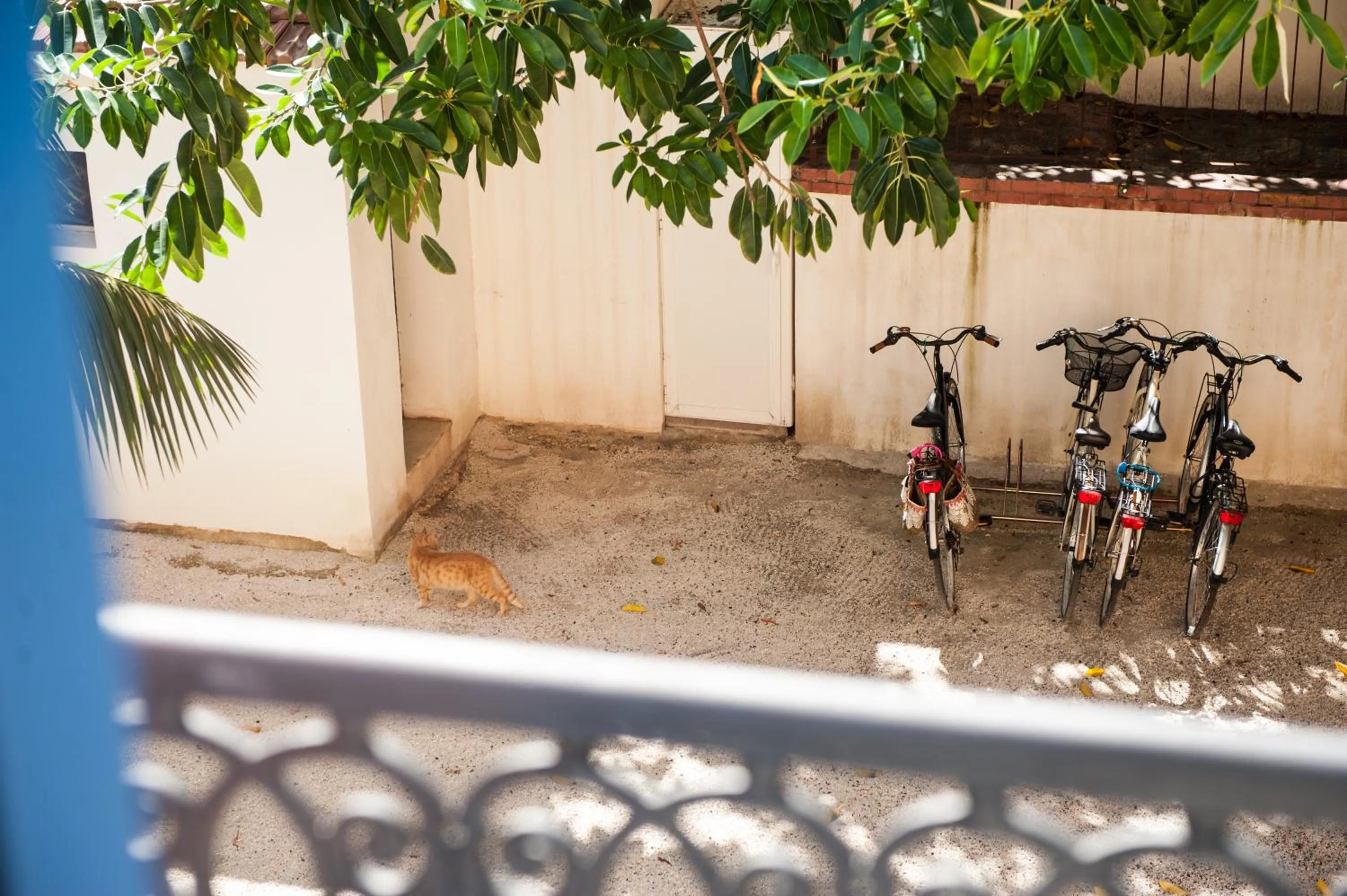 Balcony/Terrace in Giardini Mon Plaisir