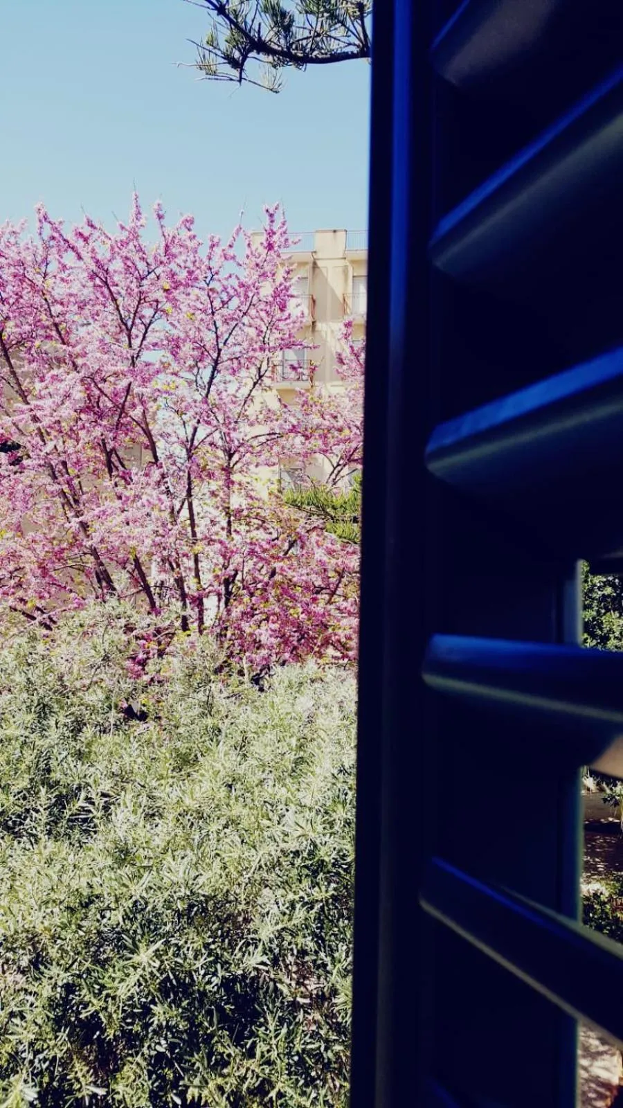 View (from property/room) in Giardini Mon Plaisir