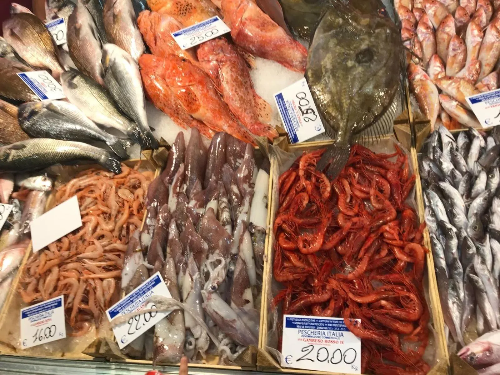 View (from property/room) in Giardini Mon Plaisir