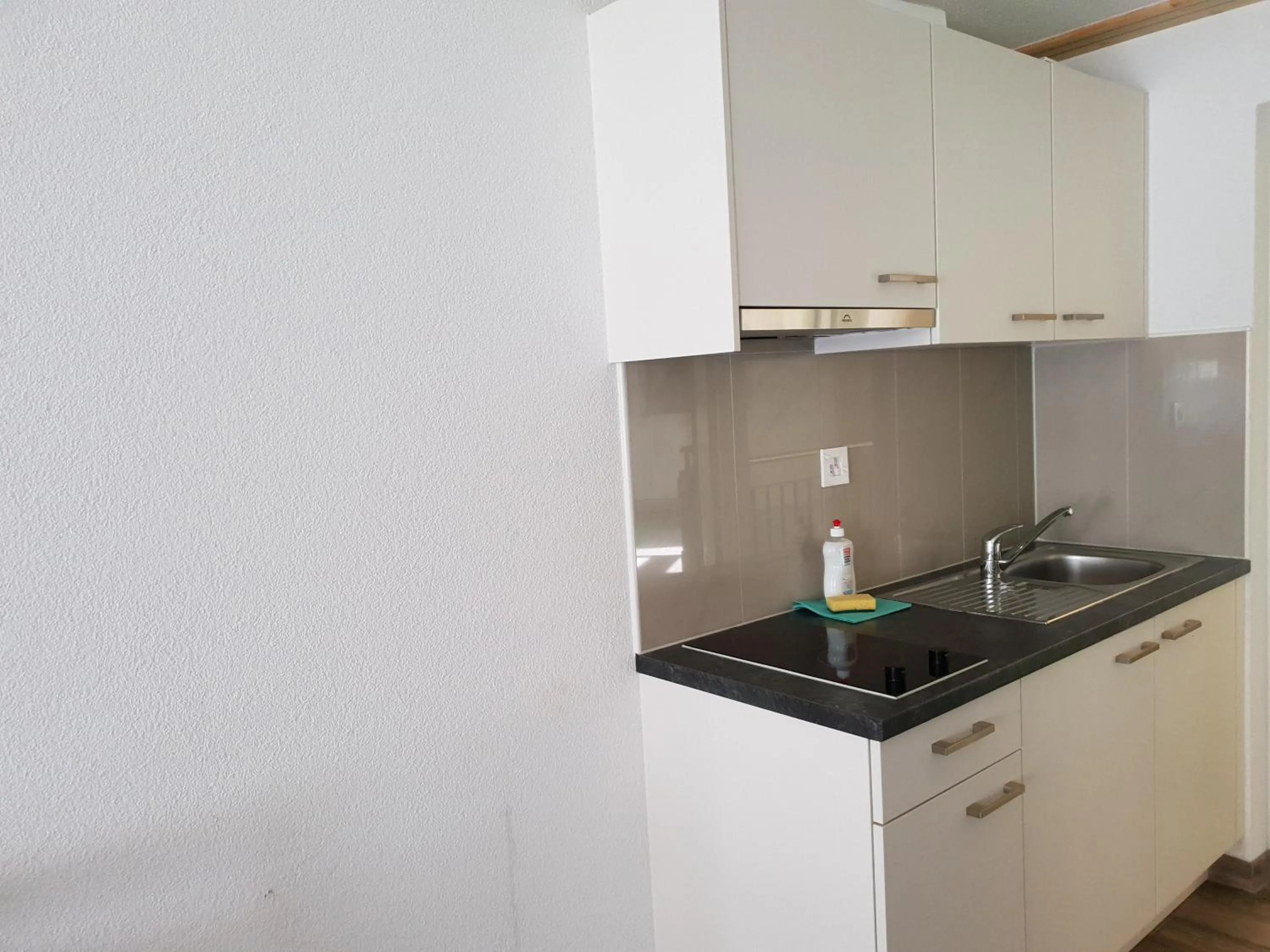 Swiss Chalet Holidays Ringgenberg