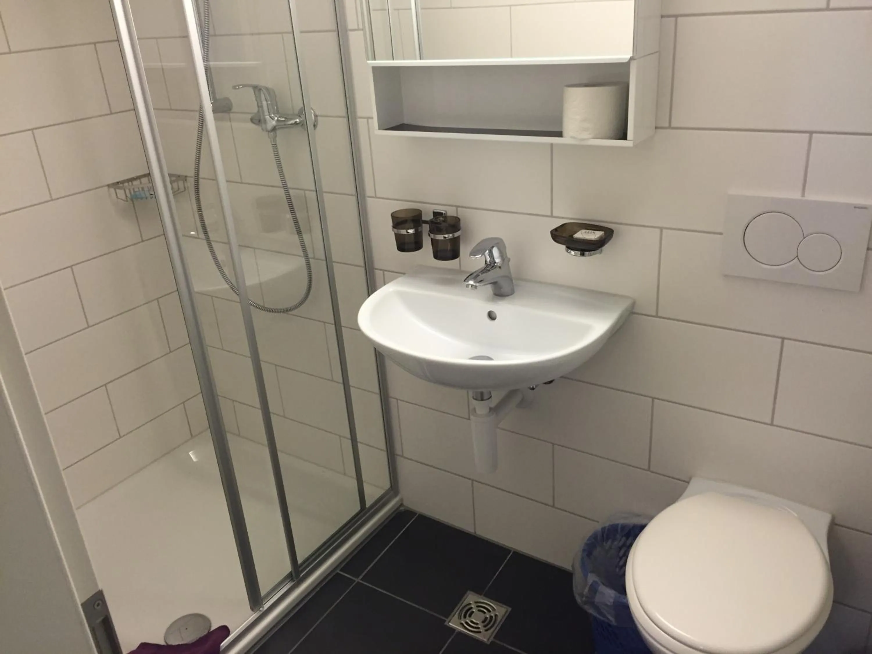 Bathroom in Swiss Chalet Holidays Ringgenberg