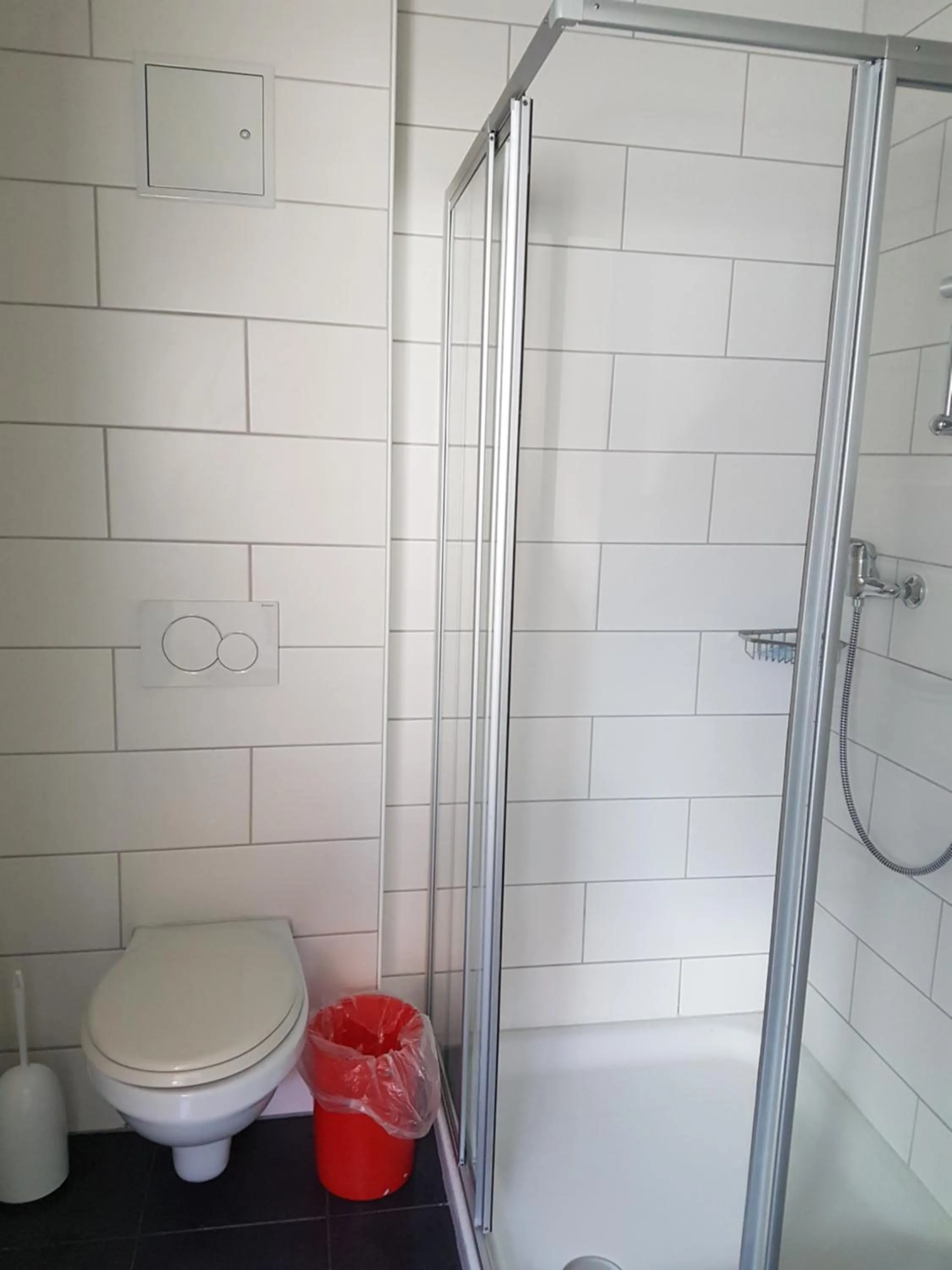 Toilet in Swiss Chalet Holidays Ringgenberg