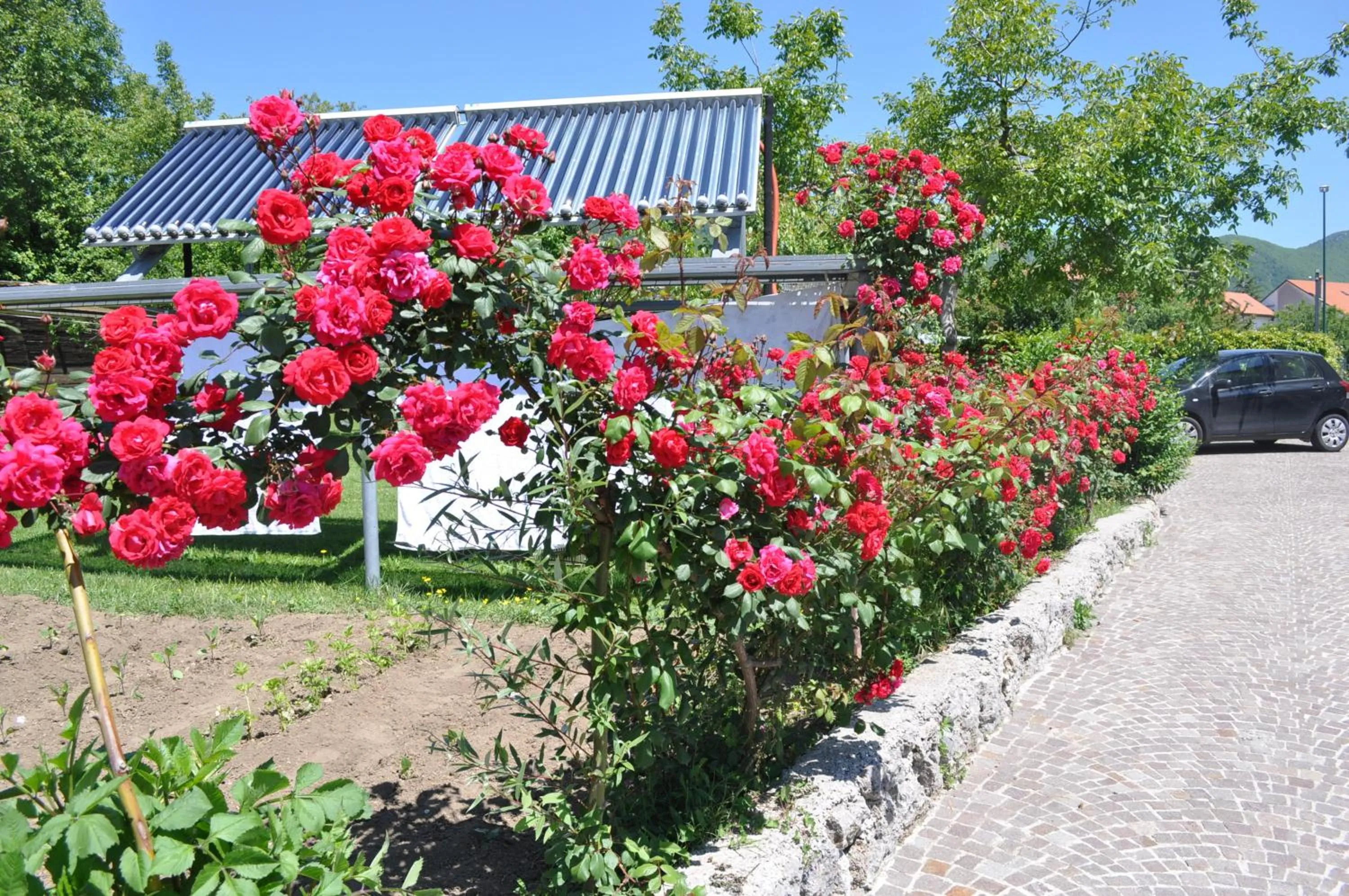 Facade/entrance in Nido Verde