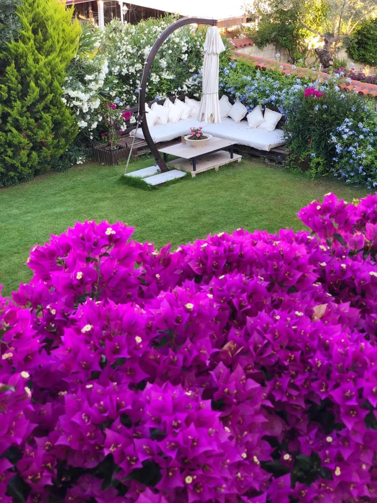 Garden in Jakamar Alacati