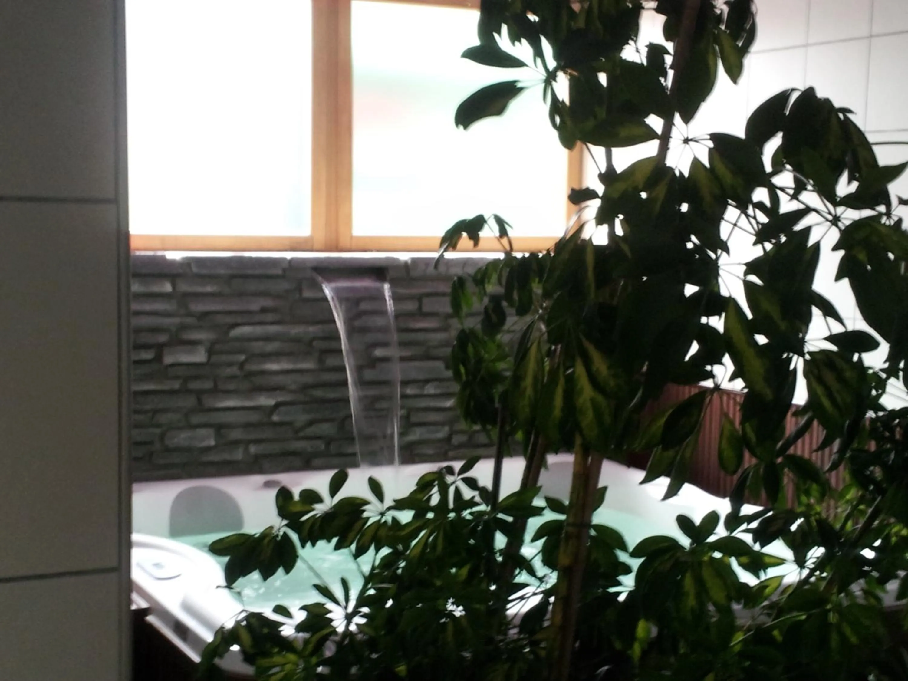 Hot Tub in Hotel Clari