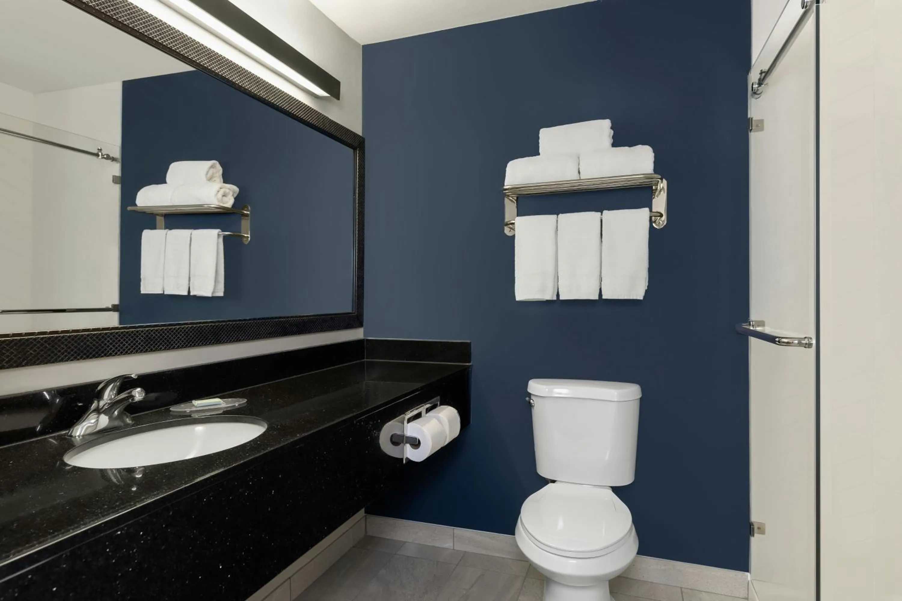 Bathroom in Fairfield Inn & Suites Minneapolis St. Paul/Roseville