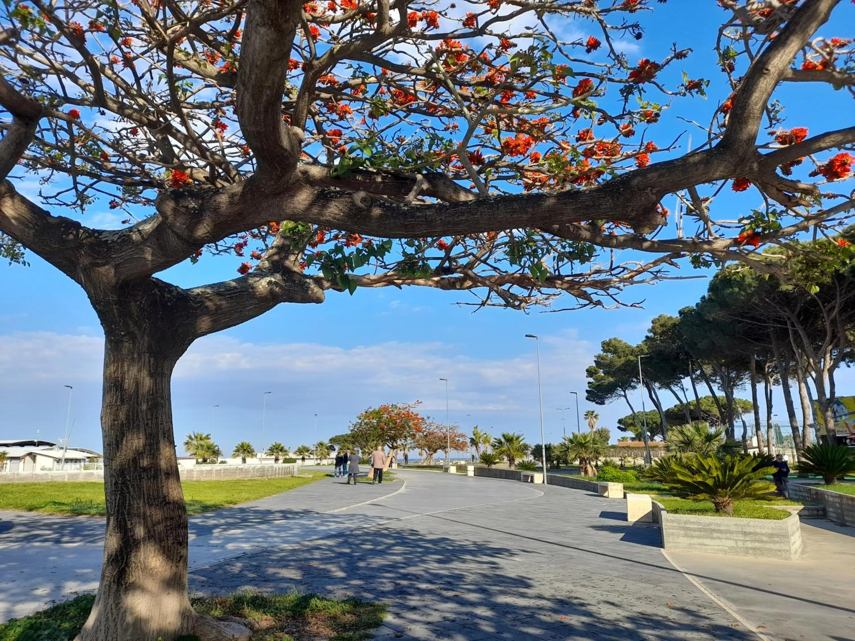 Spring in Villa Ersilia