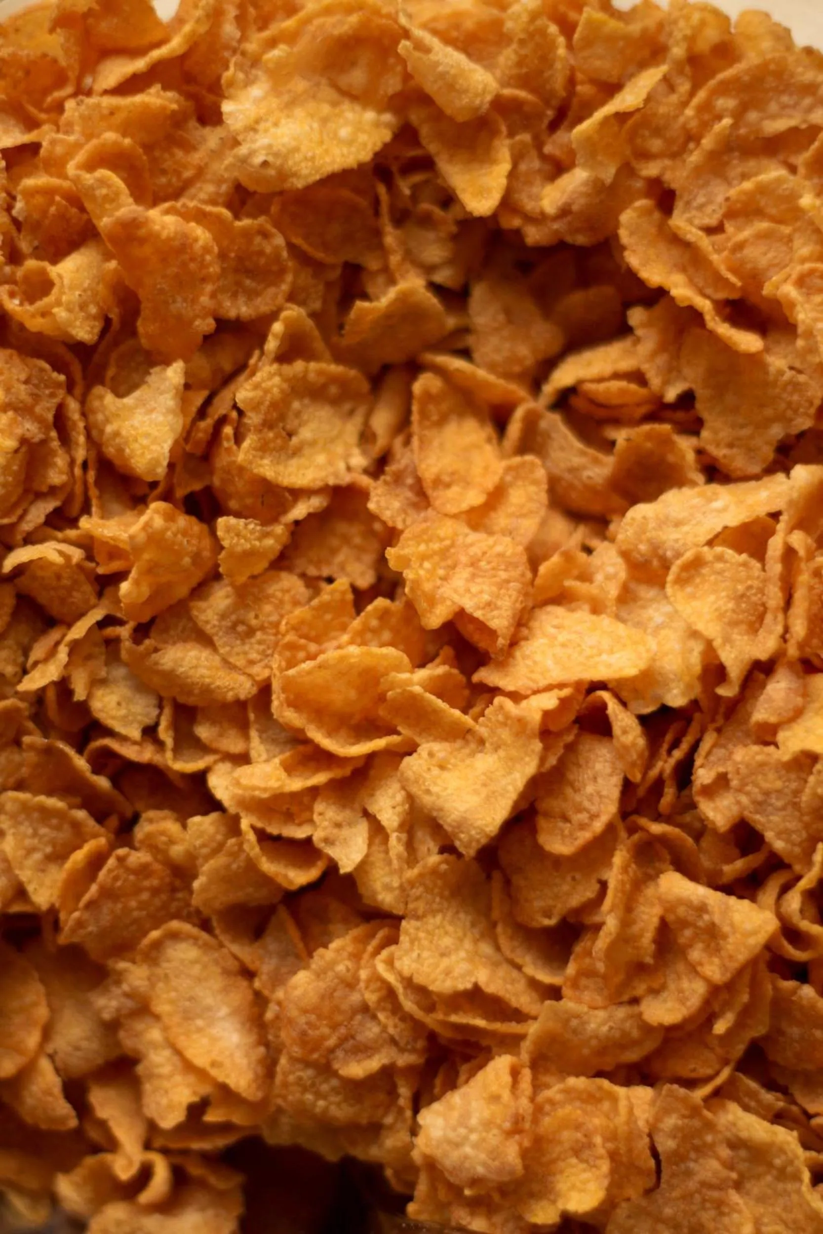 Food close-up in Albergo della Ceramica