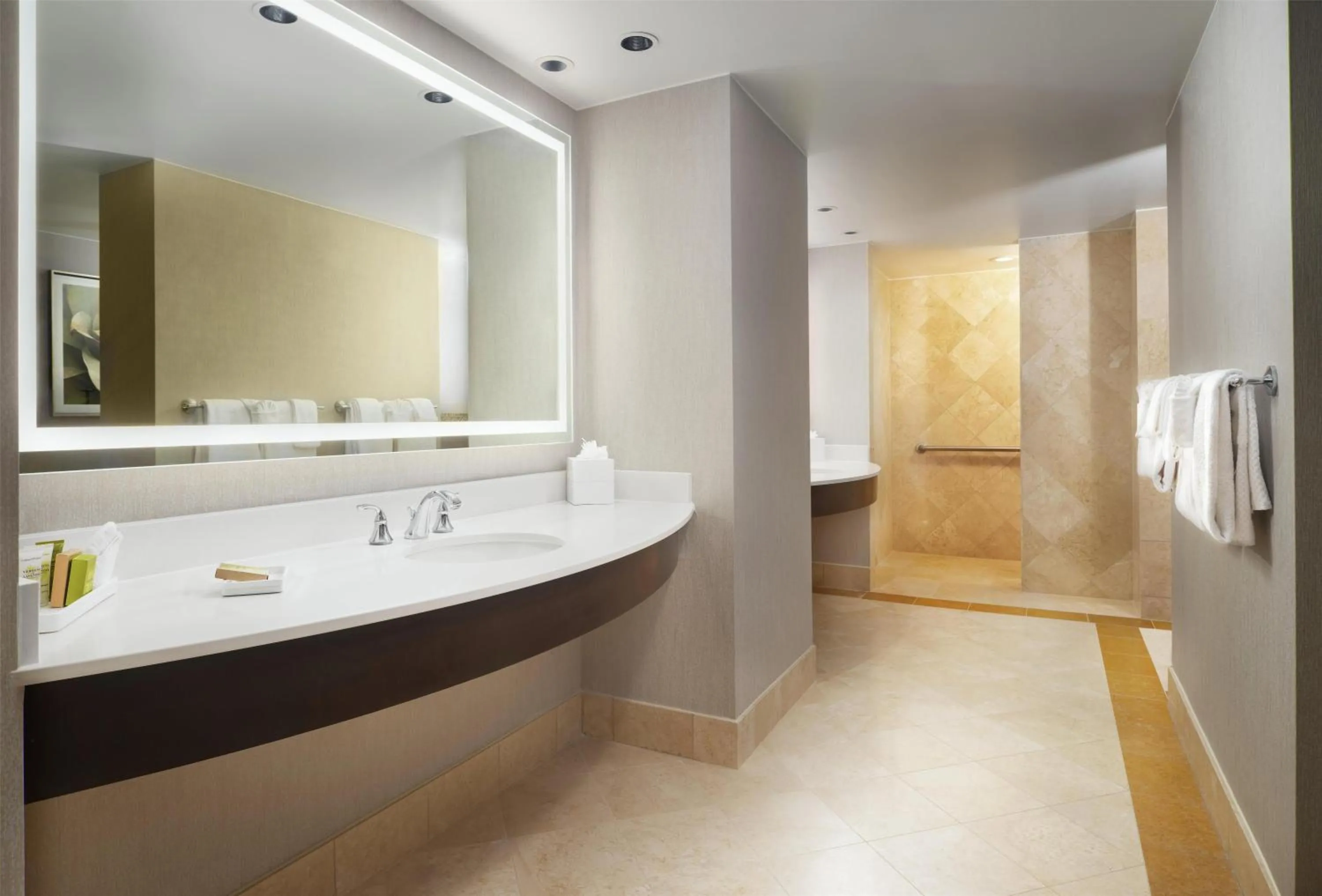 Bathroom in Signia by Hilton Orlando - An Official Walt Disney World Hotel
