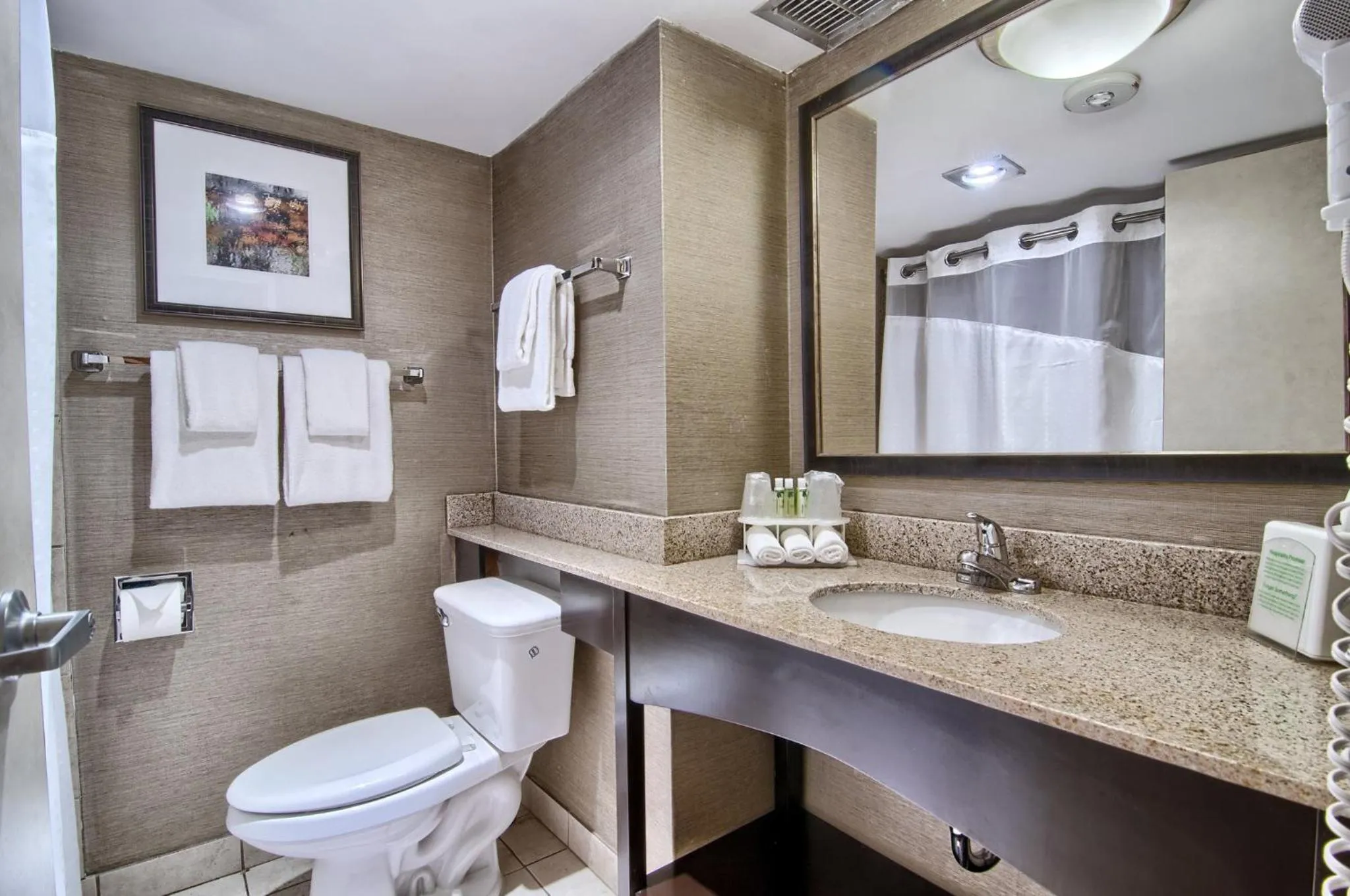 Bathroom in Holiday Inn Express Detroit-Birmingham by IHG