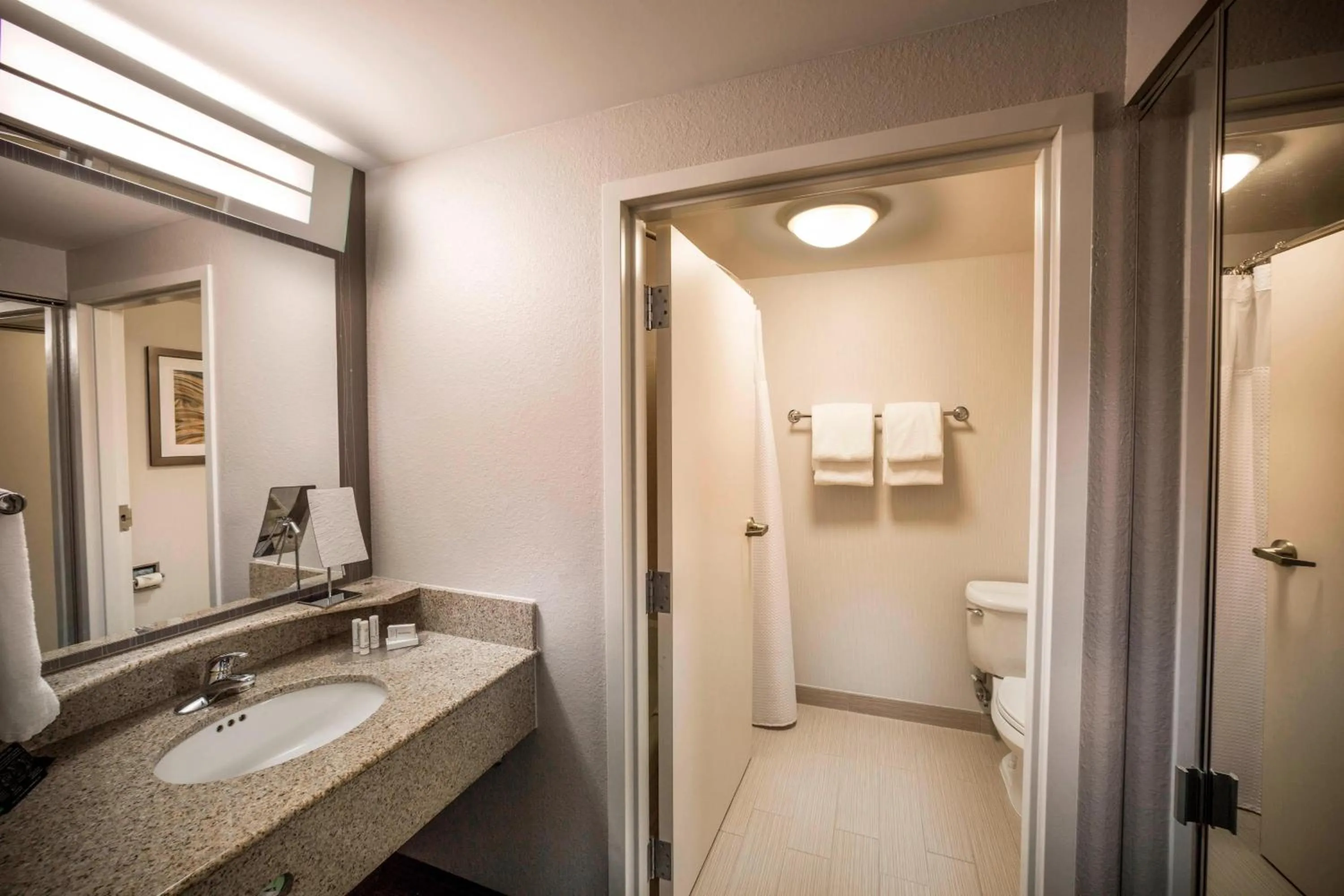 Bathroom in Courtyard by Marriott Norfolk Downtown