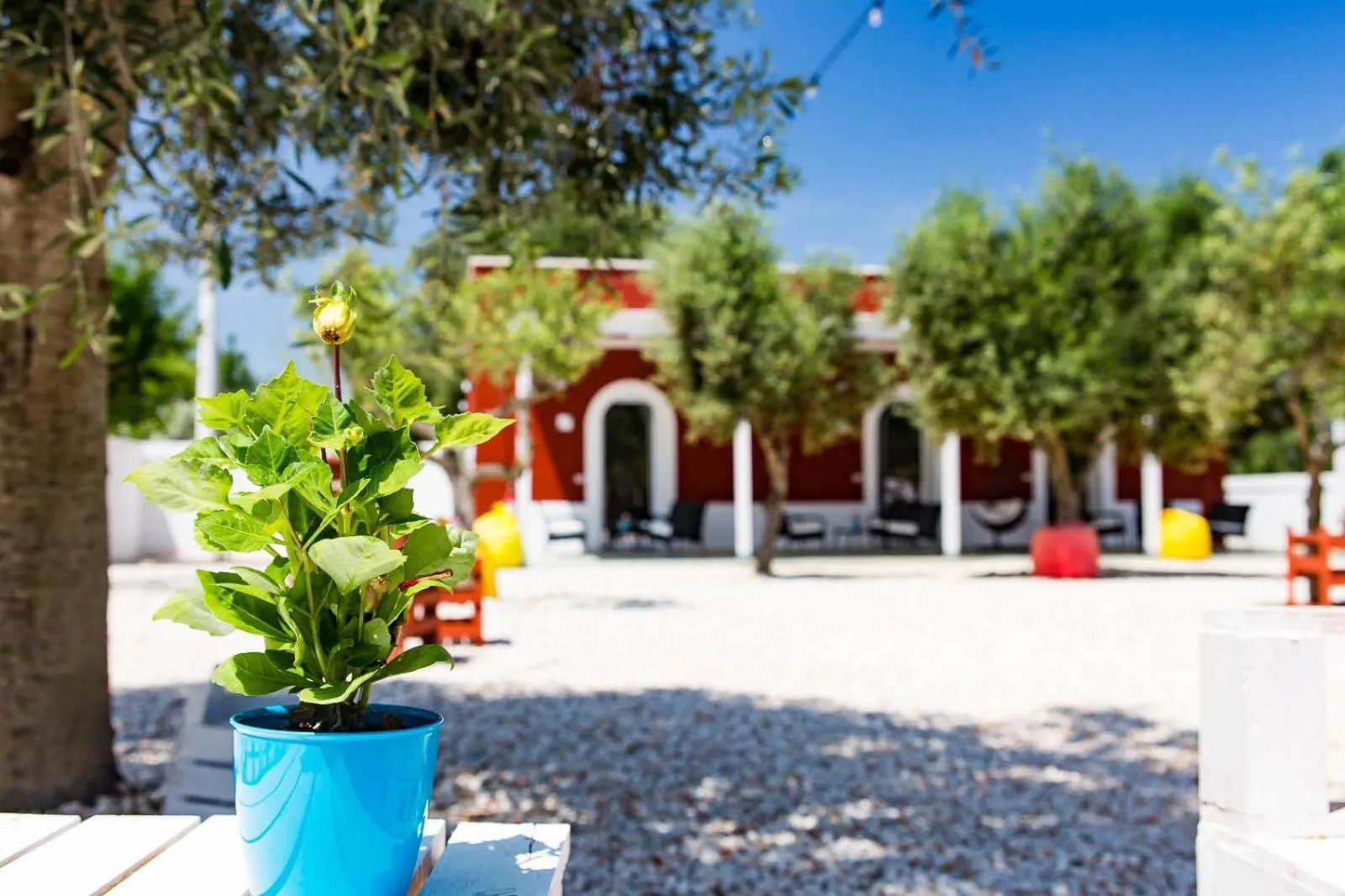 Garden in Tenuta Amostuni-Country House