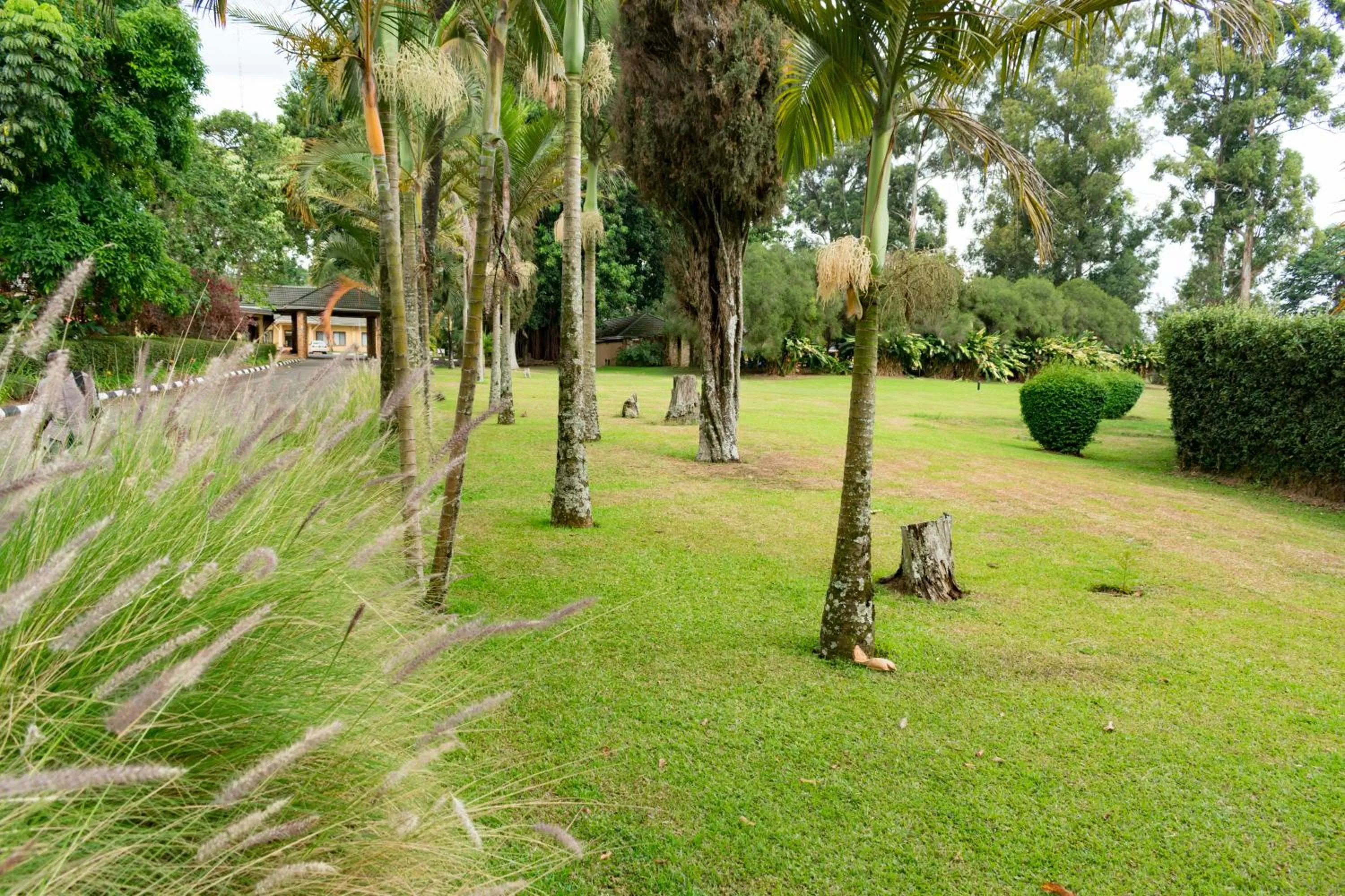 Garden in Mountains of the Moon Hotel Fort Portal