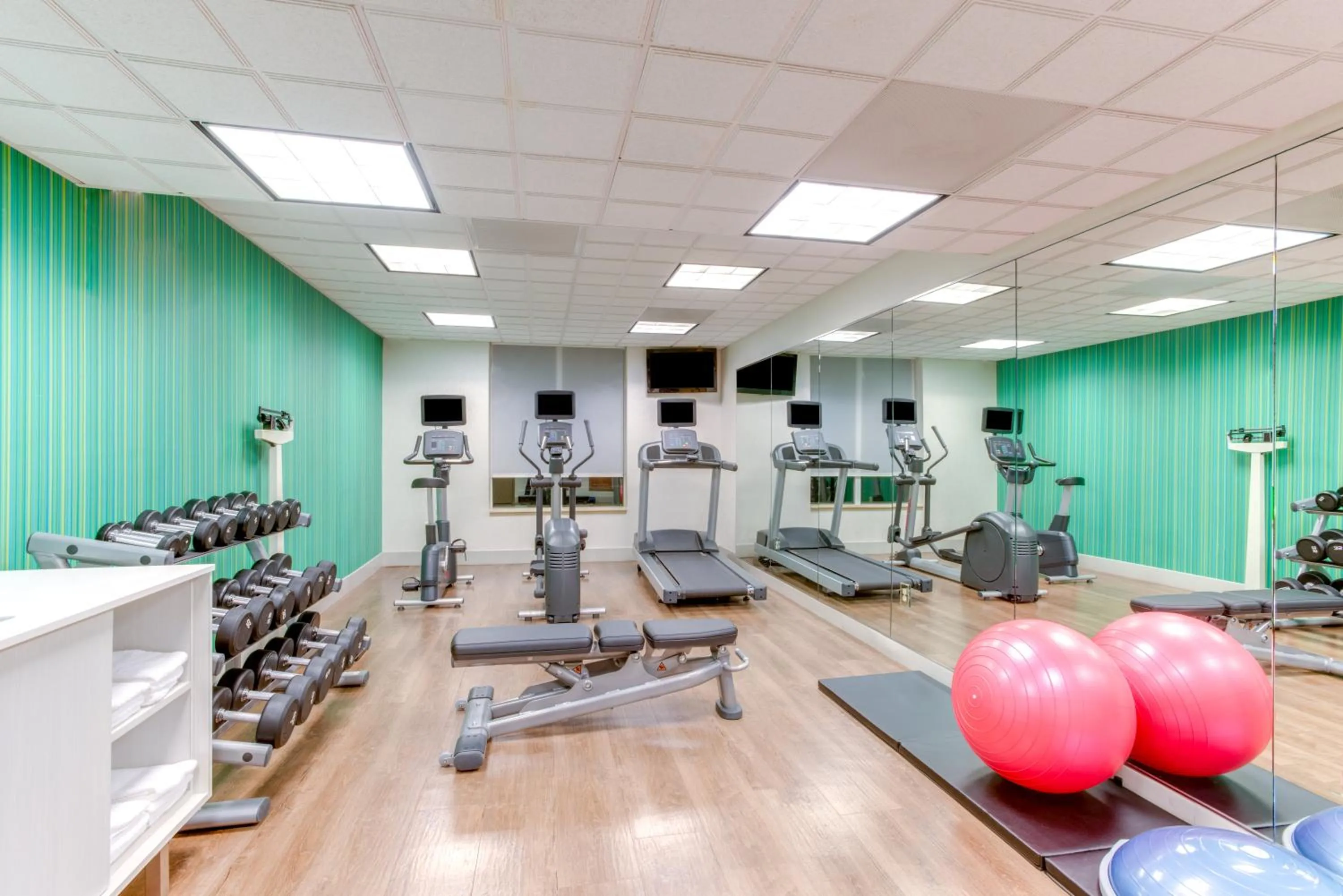 Fitness centre/facilities in Holiday Inn Express Hotel & Suites Bethlehem by IHG
