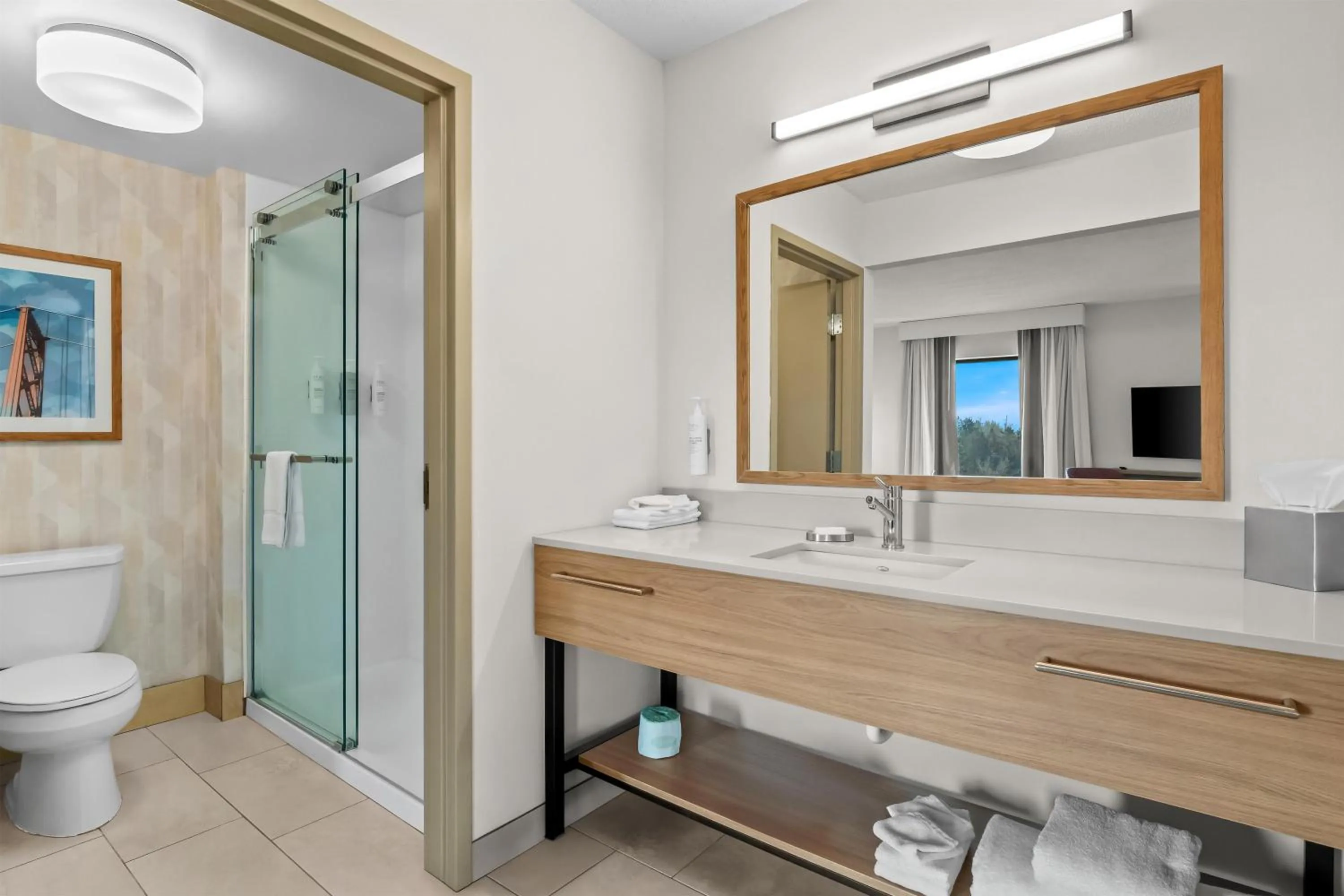 Bathroom in Hampton Inn & Suites Detroit-Canton