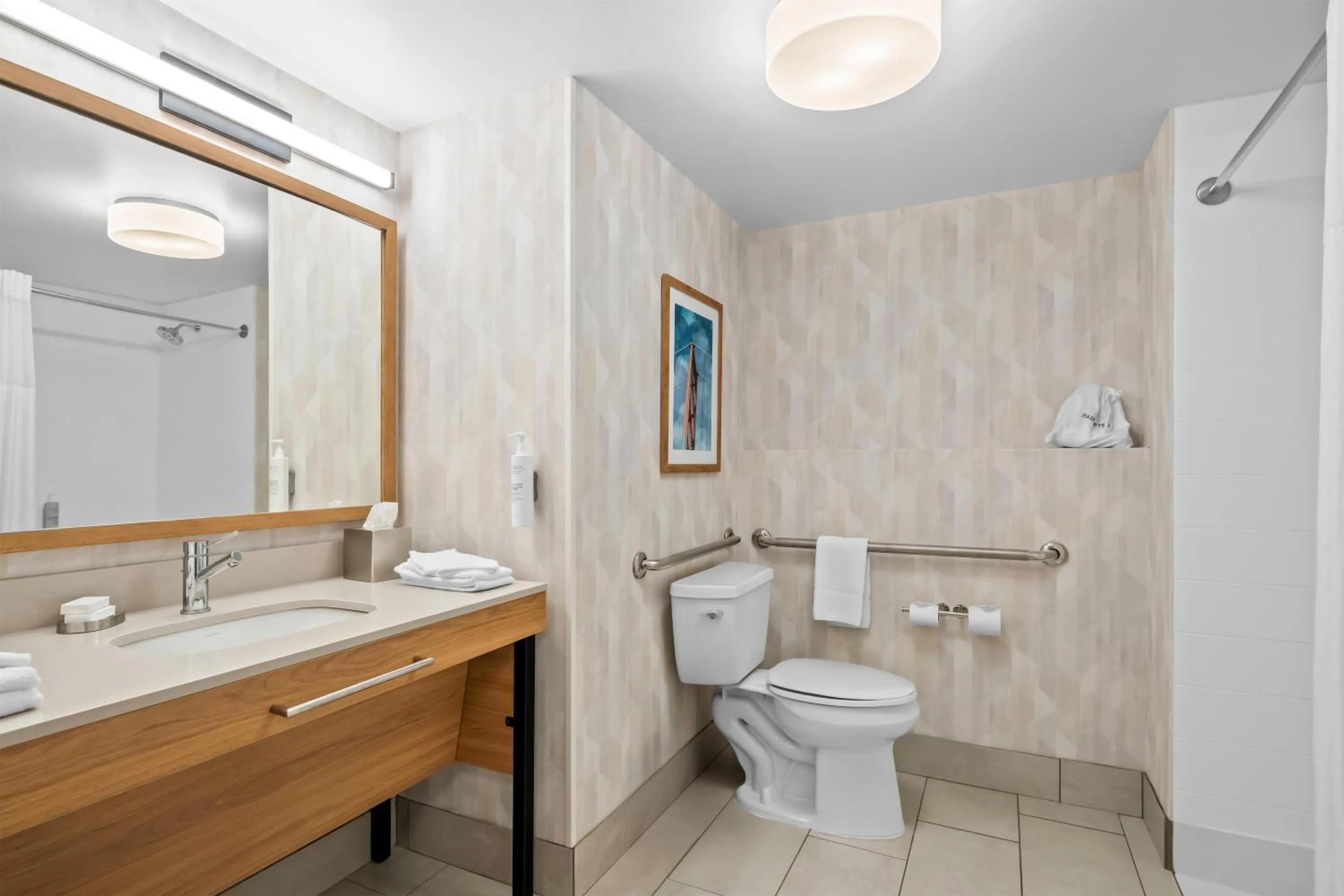 Bathroom in Hampton Inn & Suites Detroit-Canton