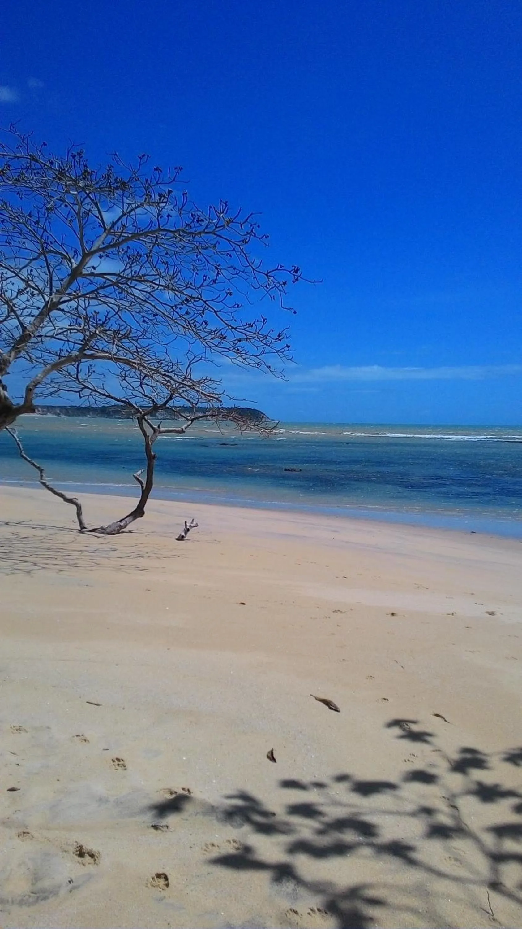 Beach in Pousada Jambrero