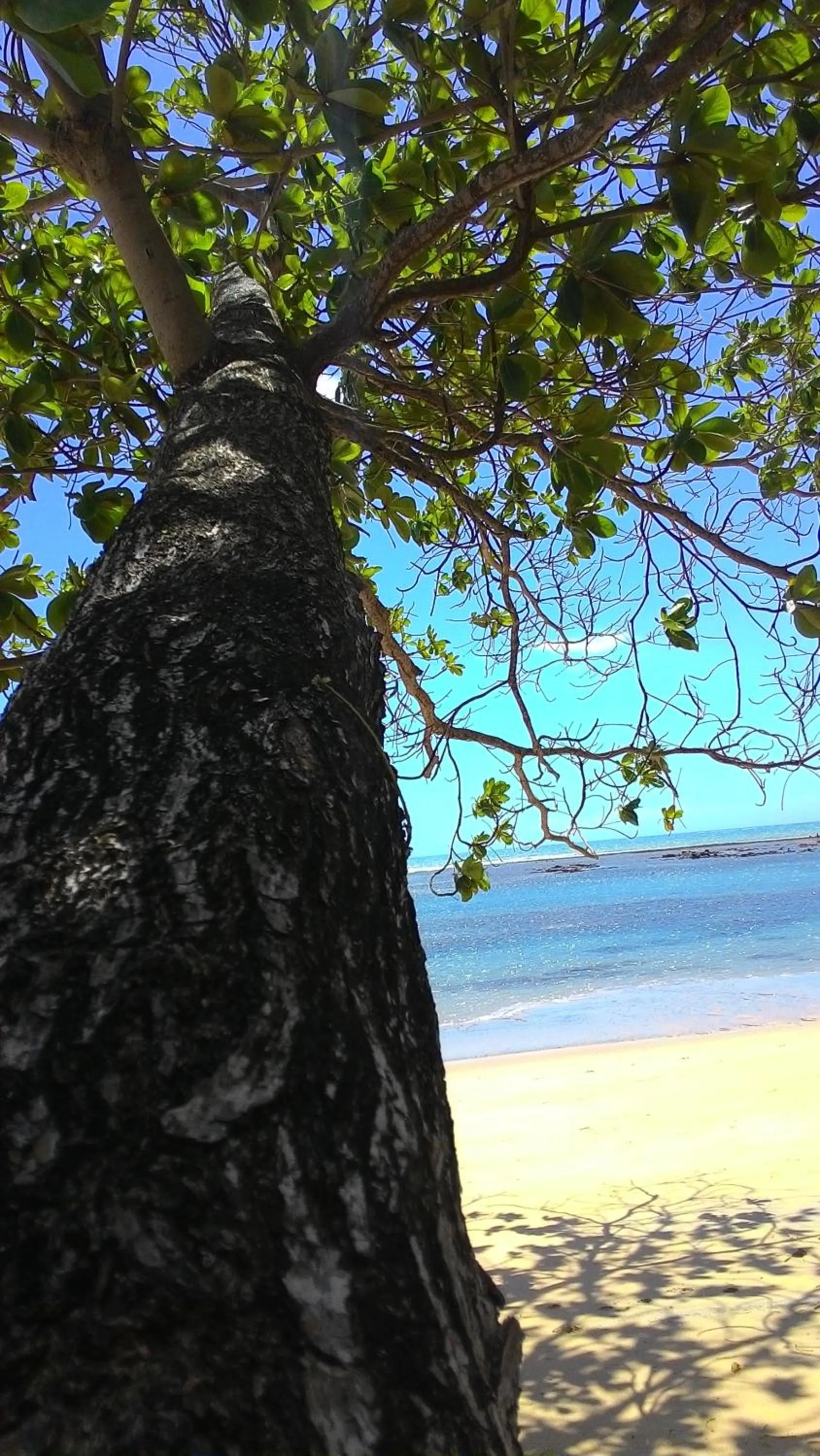 Beach in Pousada Jambrero