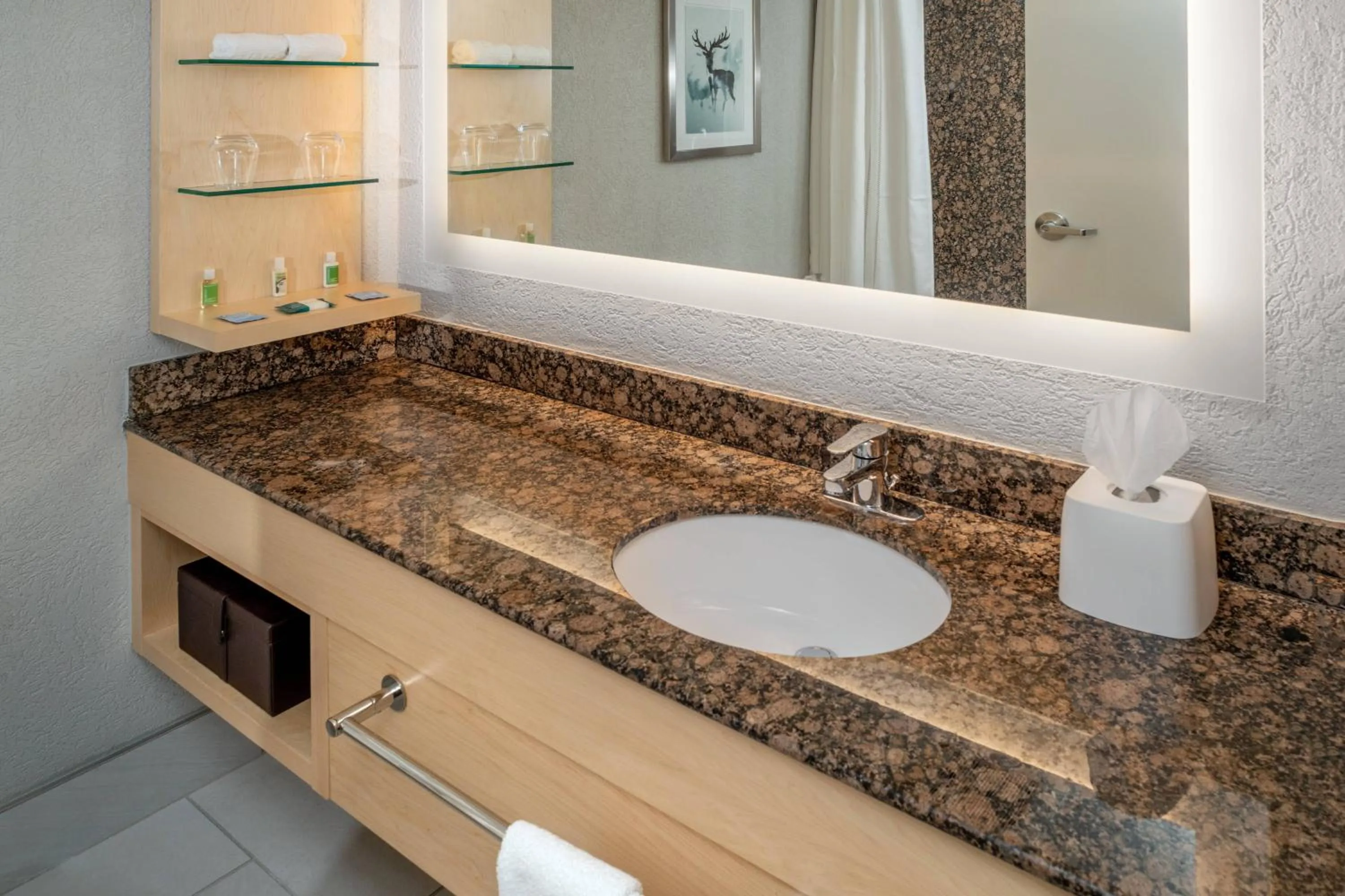 Bathroom in Delta Hotels by Marriott Huntington Downtown