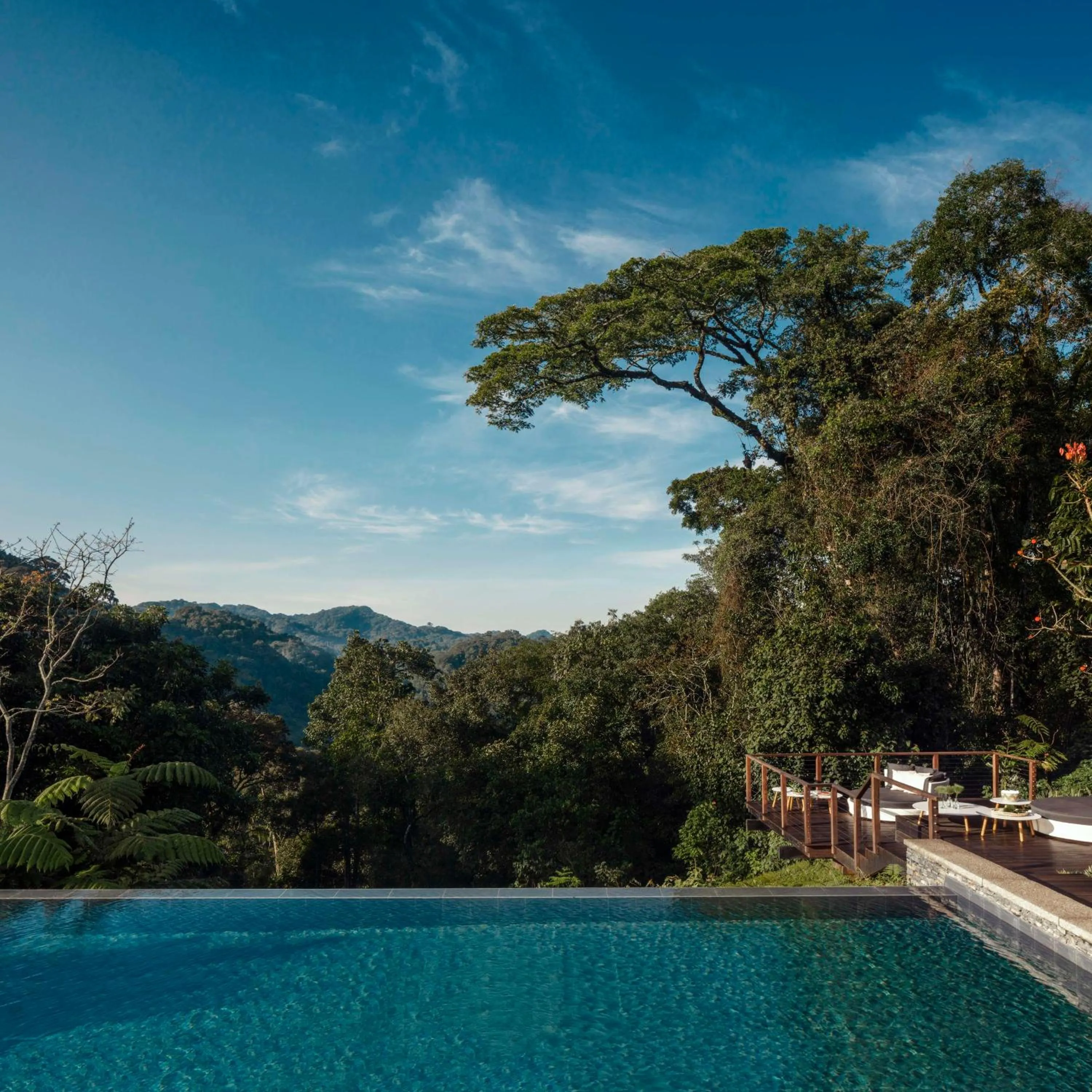 Pool view in One&Only Nyungwe House