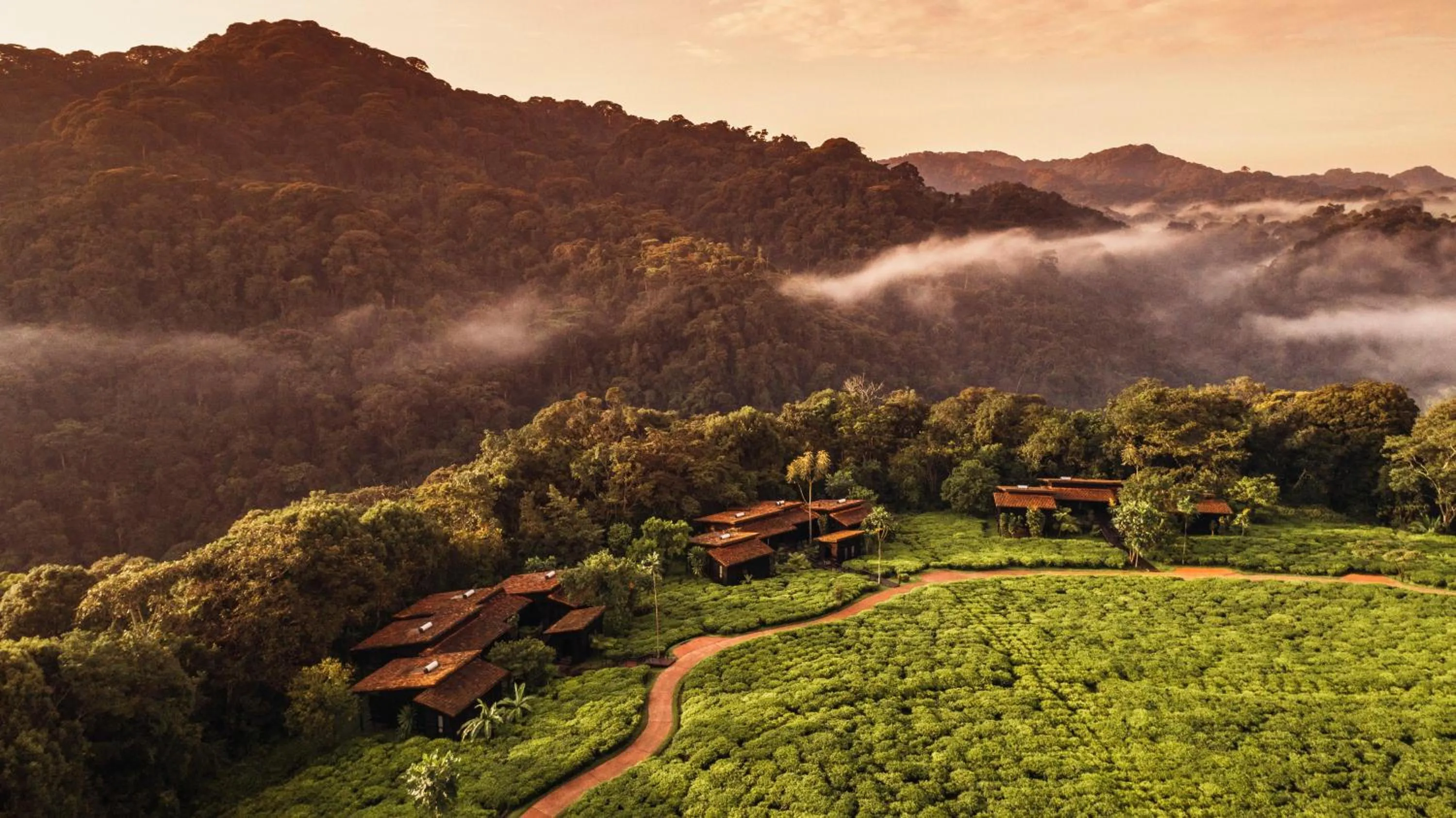 Natural landscape in One&Only Nyungwe House