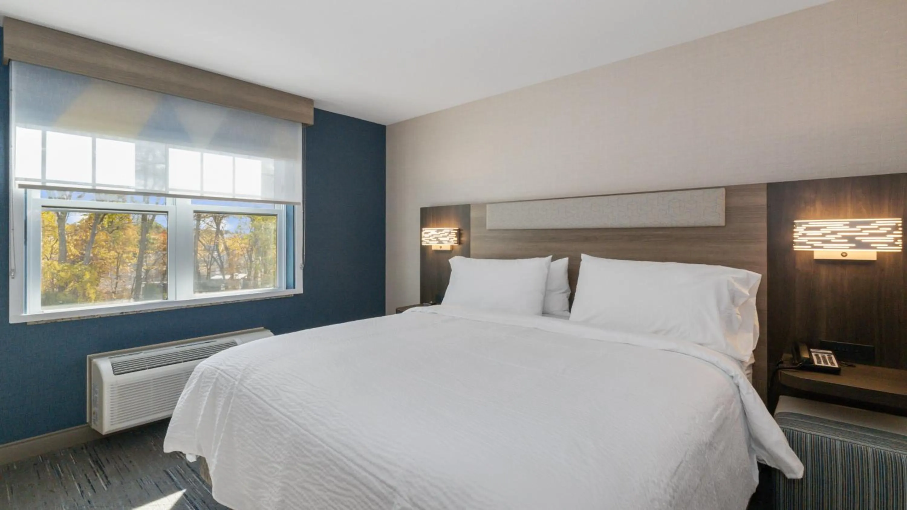 Photo of the whole room, Bed in Holiday Inn Express Hotel & Suites Hampton South-Seabrook by IHG