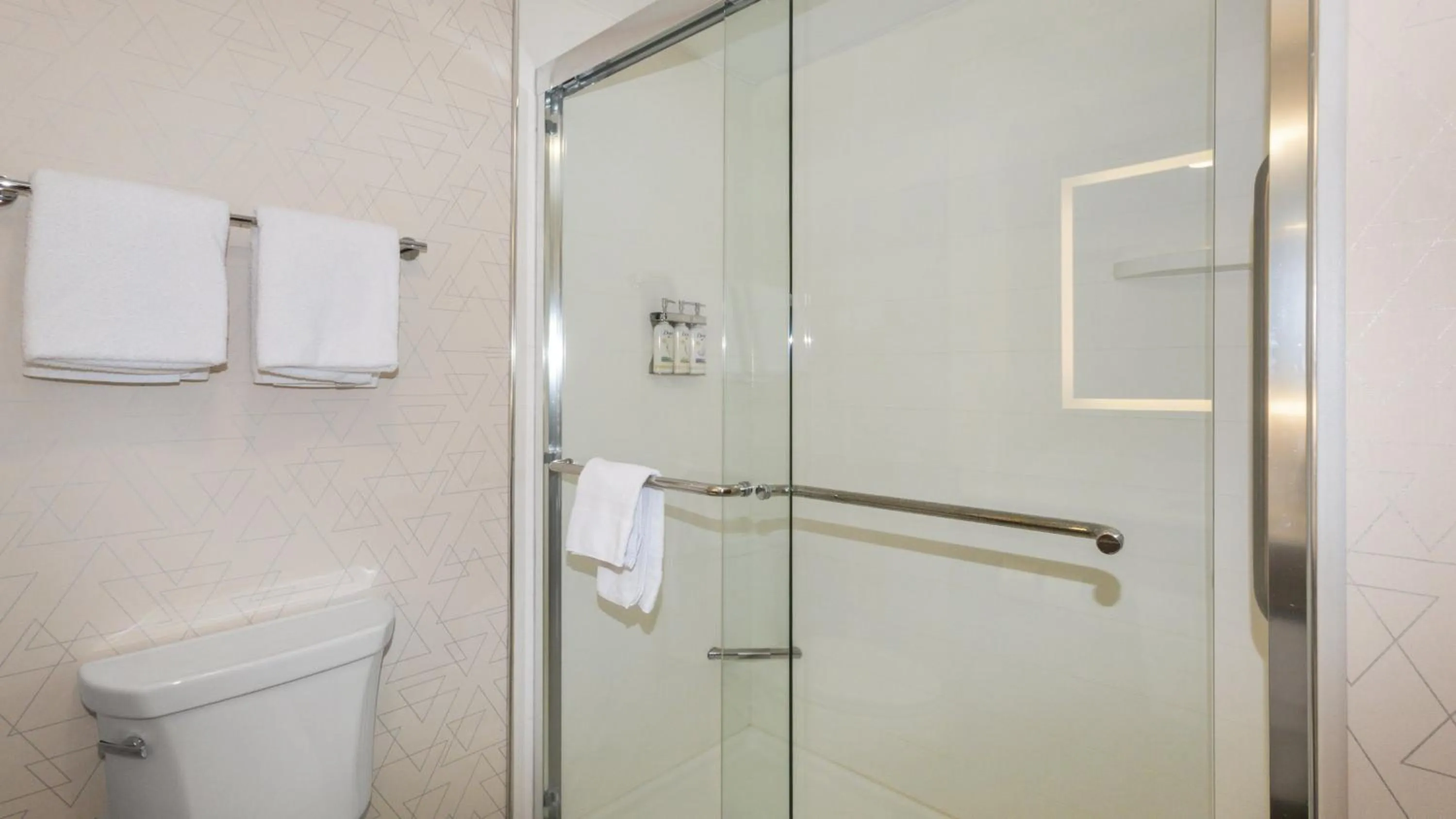 Bathroom in Holiday Inn Express Hotel & Suites Hampton South-Seabrook by IHG