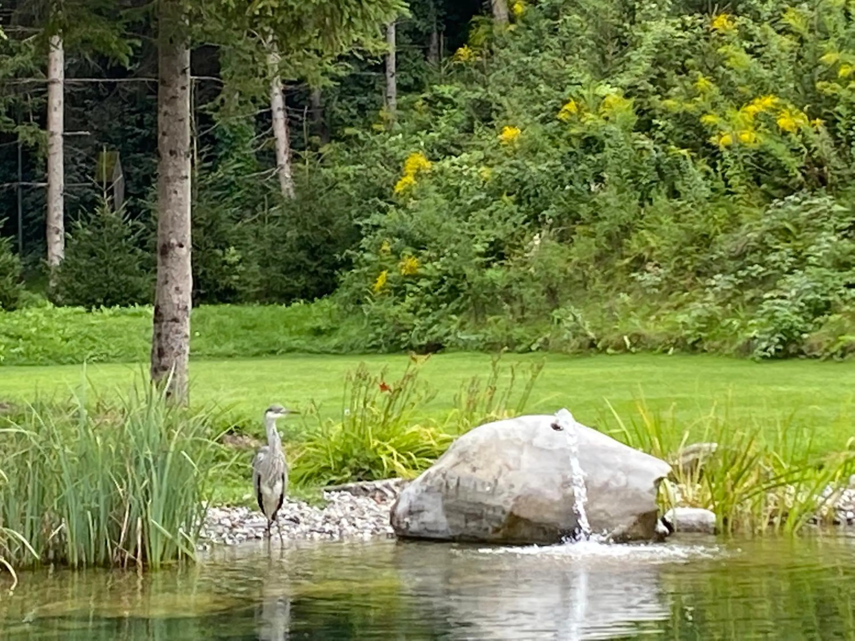Natural landscape in Hotel Gasthof Hirschentenne