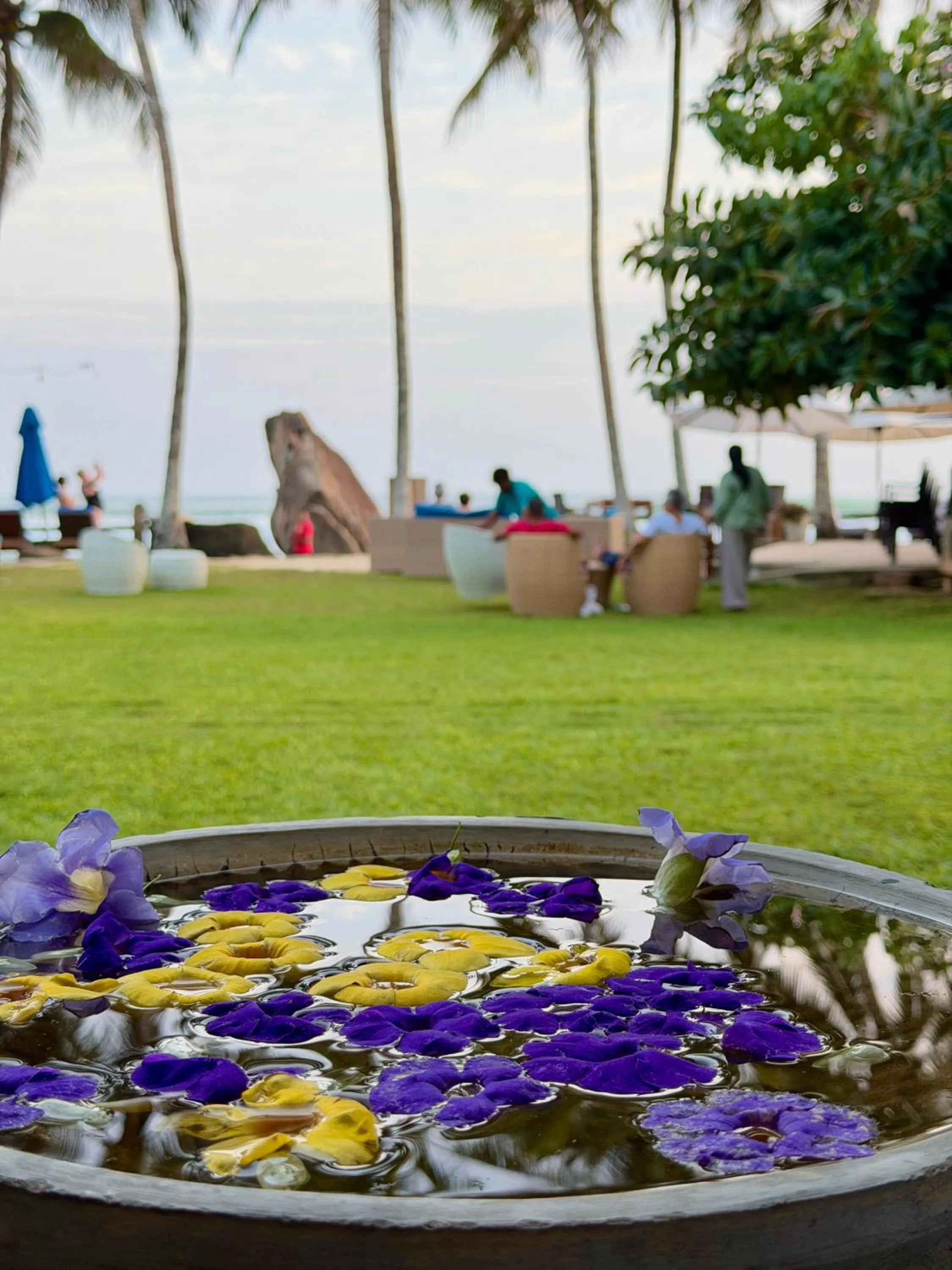 Garden in Sri Gemunu Beach Resort