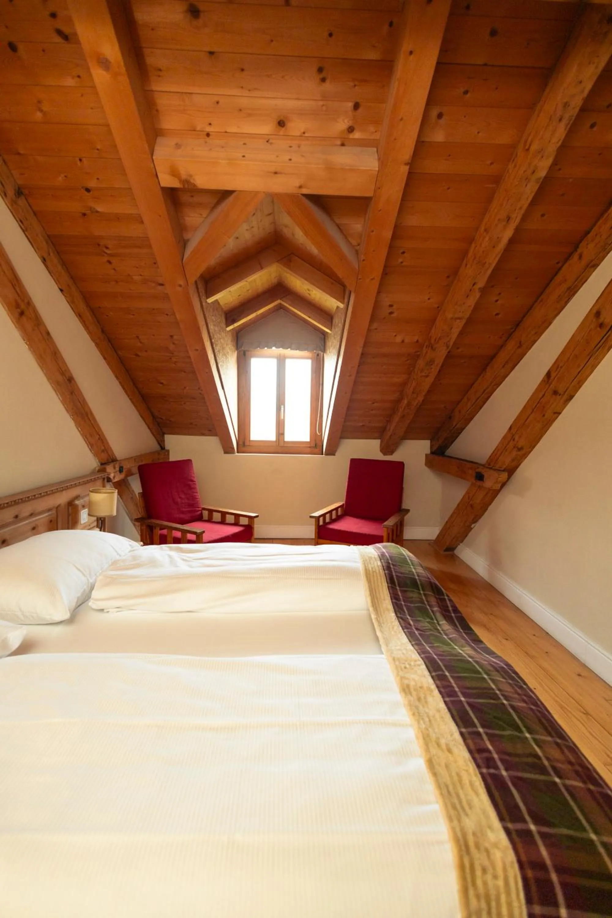 Photo of the whole room in Hotel Bernina 1865 by Kleos Group Collection