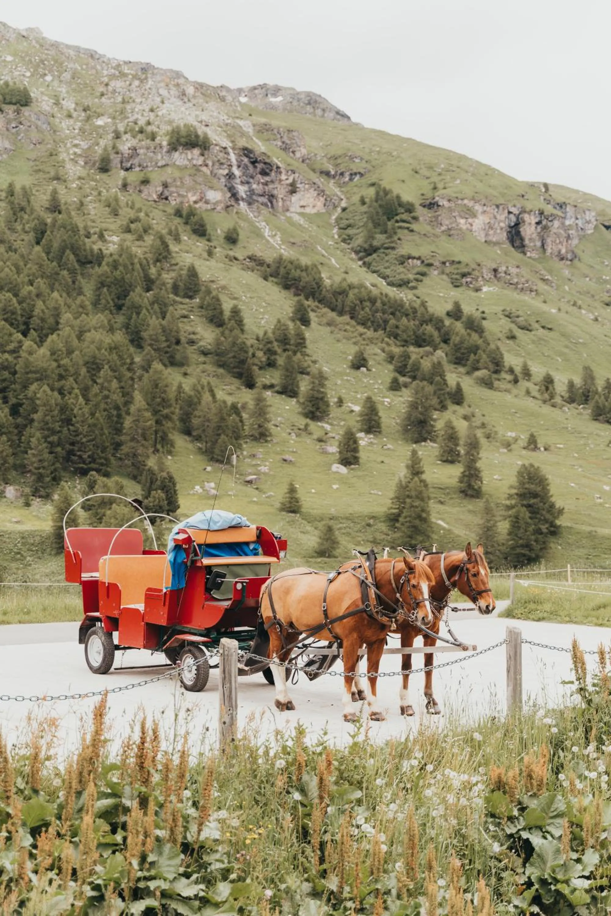 Natural landscape in Hotel Bernina 1865 by Kleos Group Collection